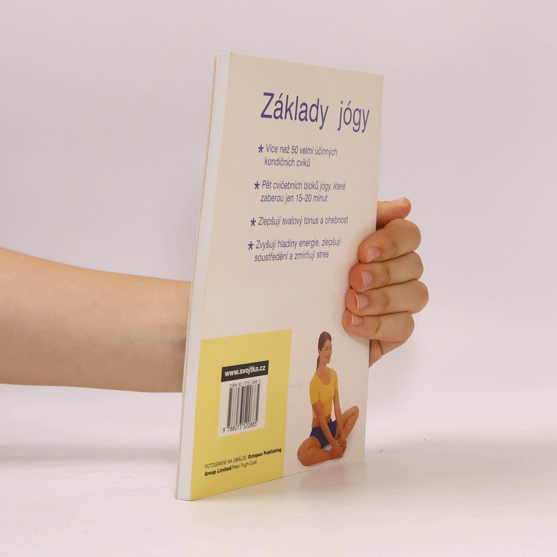 Vimla Lalvani Základy jógy: Protahovací cviky, které posilují, dodávají energii a zbavují stresu