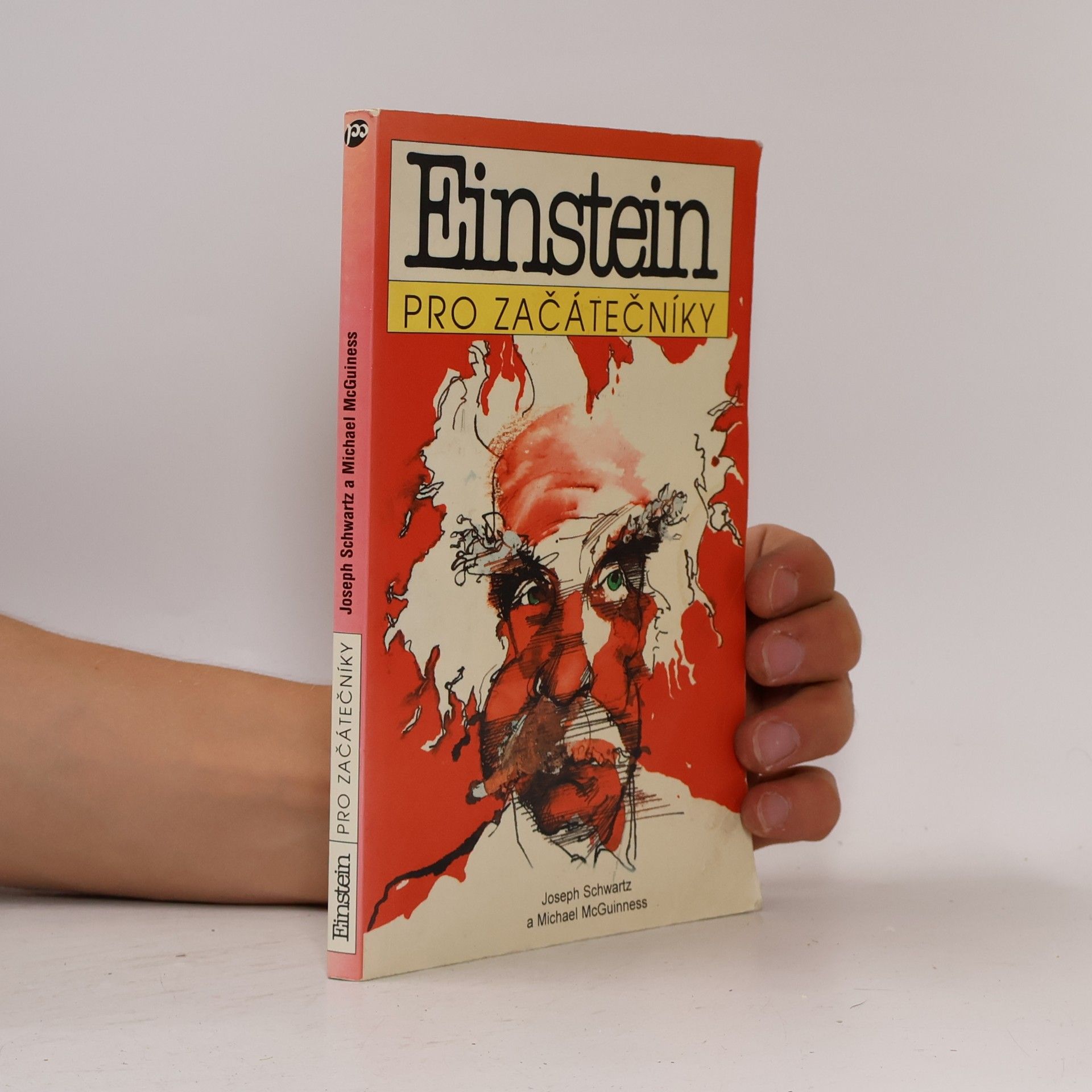 Joseph Schwartz Einstein pro začátečníky