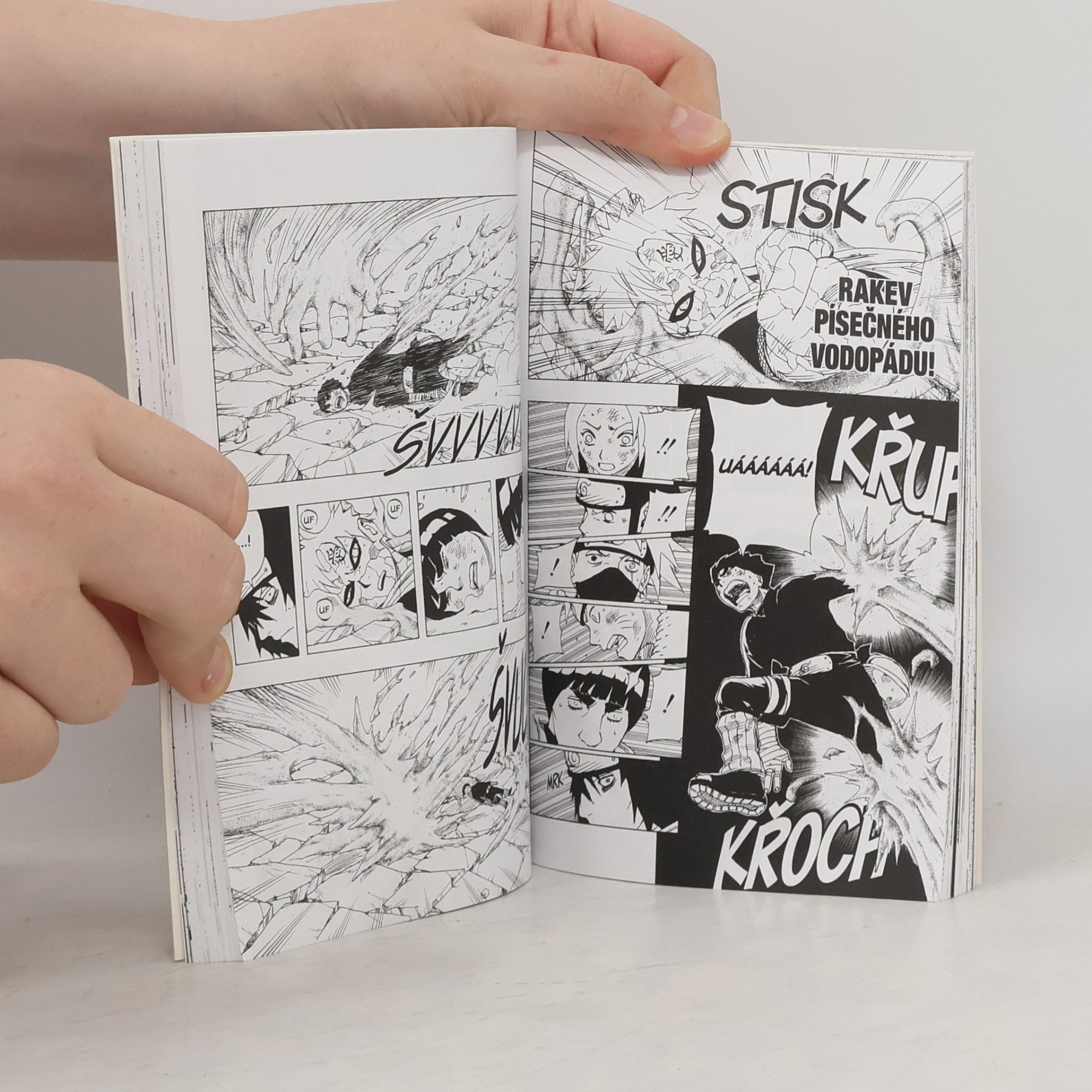 Masashi Kishimoto Naruto 10