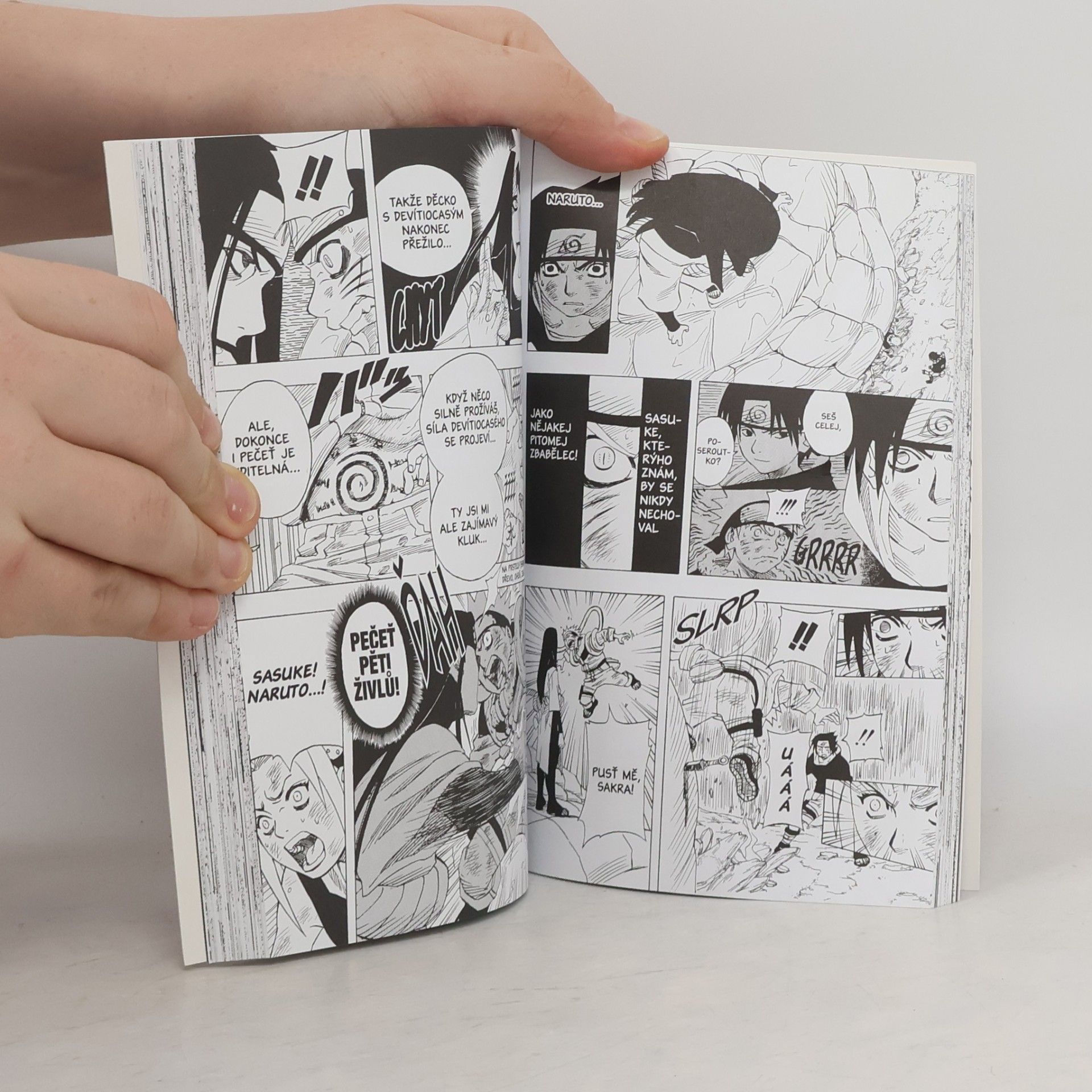 Masashi Kishimoto Naruto. 6. díl, Sakuřino rozhodnutí