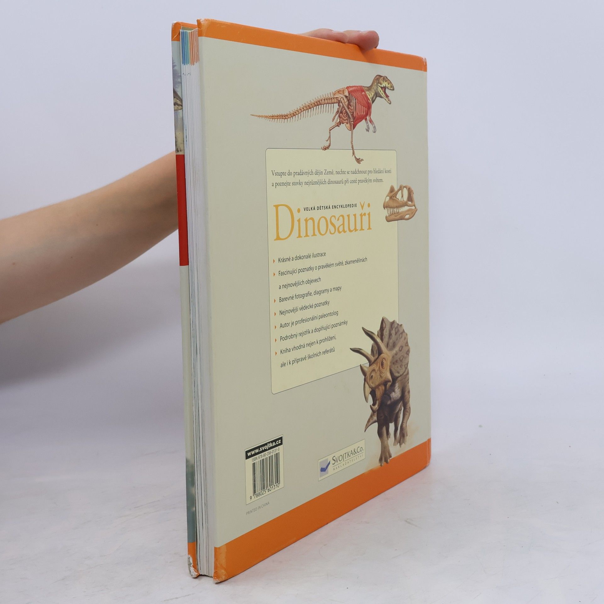 M. K. Brett Surman Dinosauři: Velká dětská encyklopedie