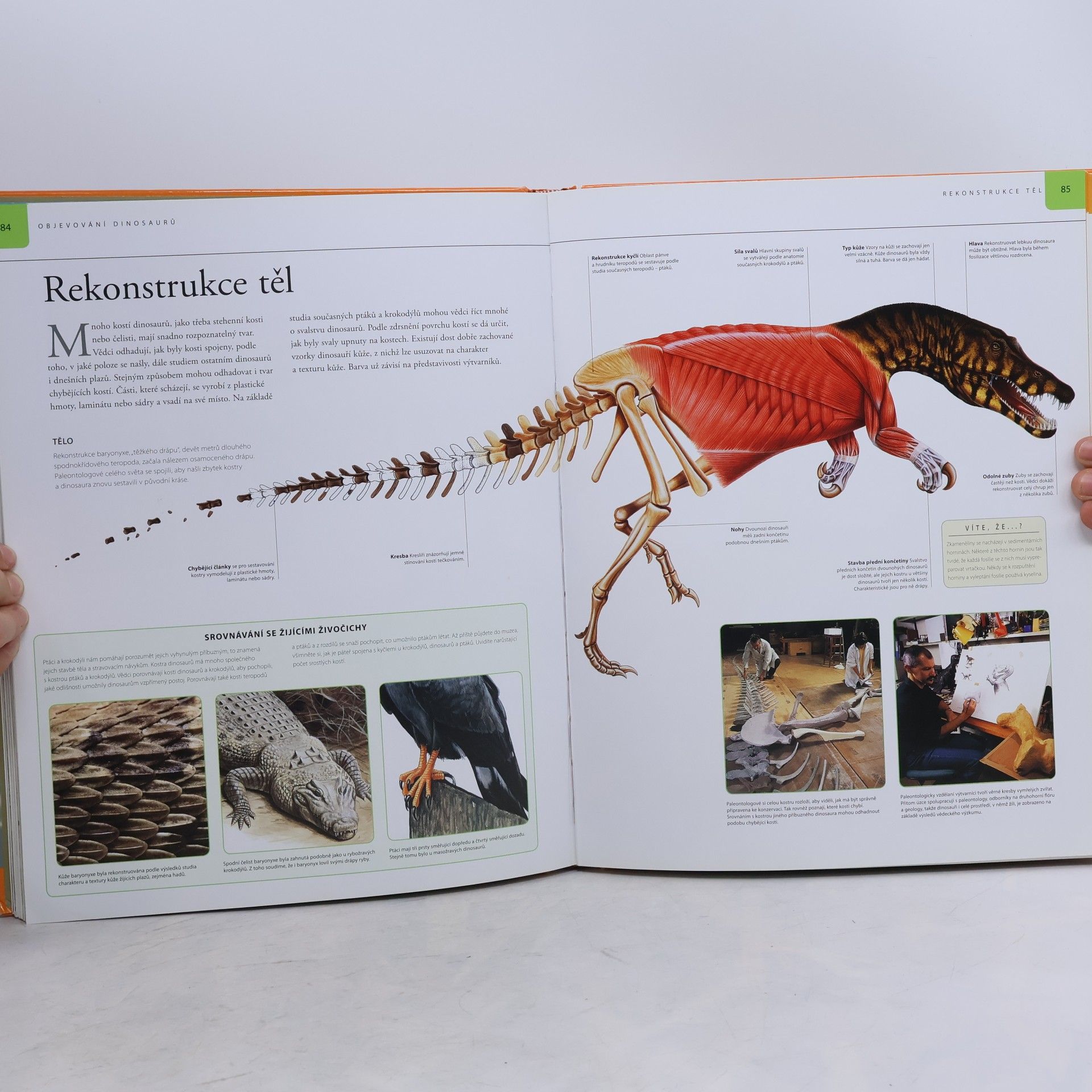 M. K. Brett Surman Dinosauři: Velká dětská encyklopedie