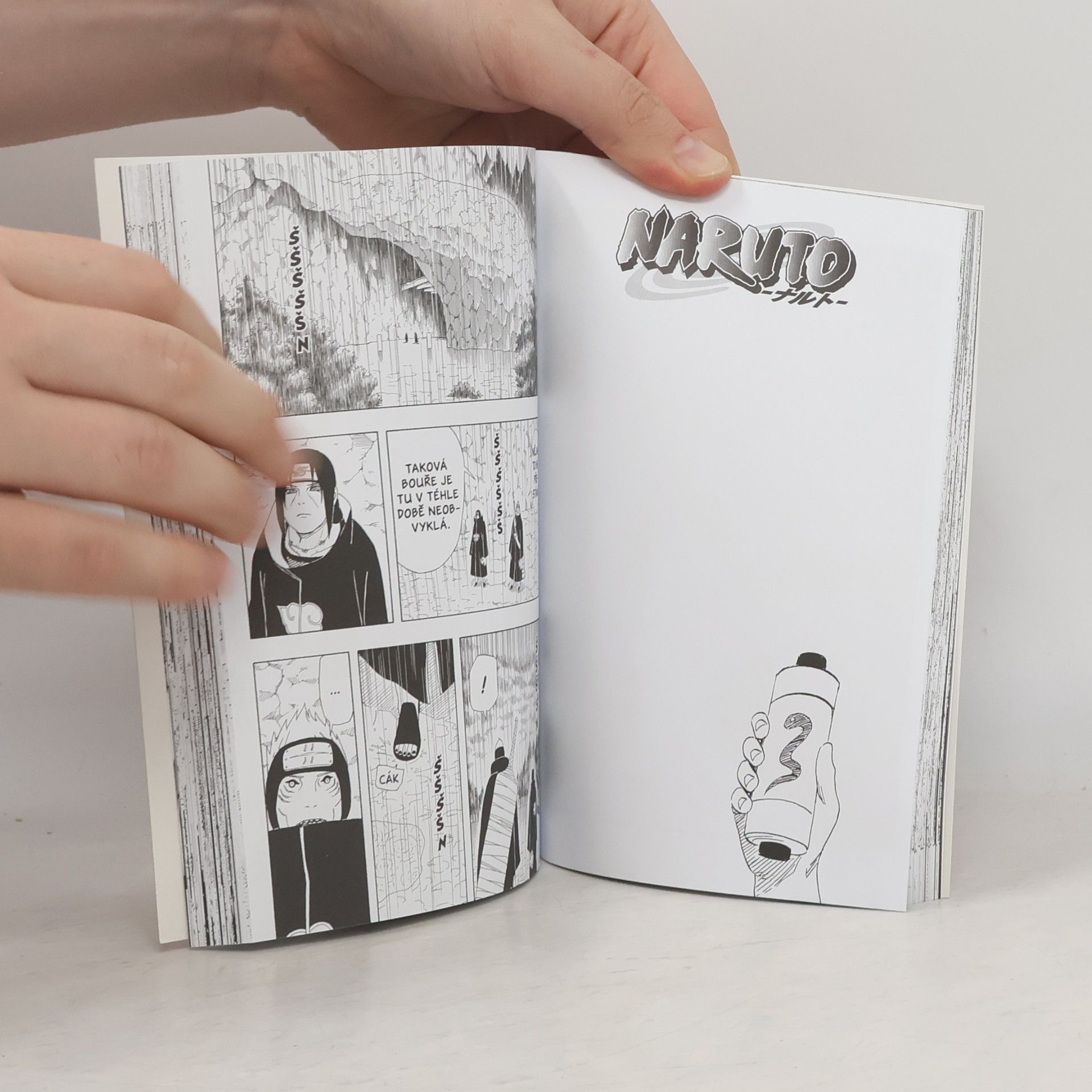 Masaši Kišimoto Naruto. 40. díl, Absolutní umění