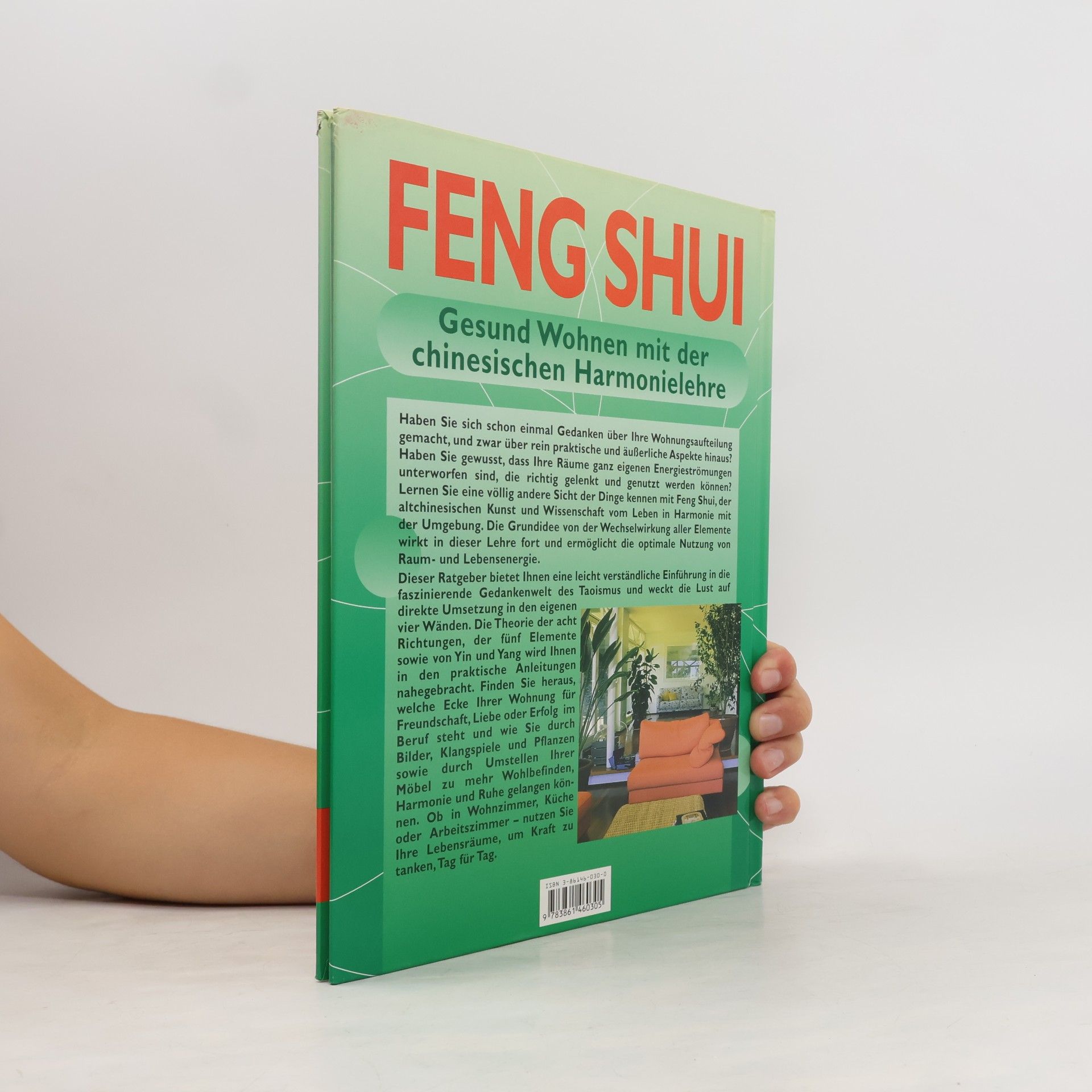 Georgia Schwarz Feng Shui