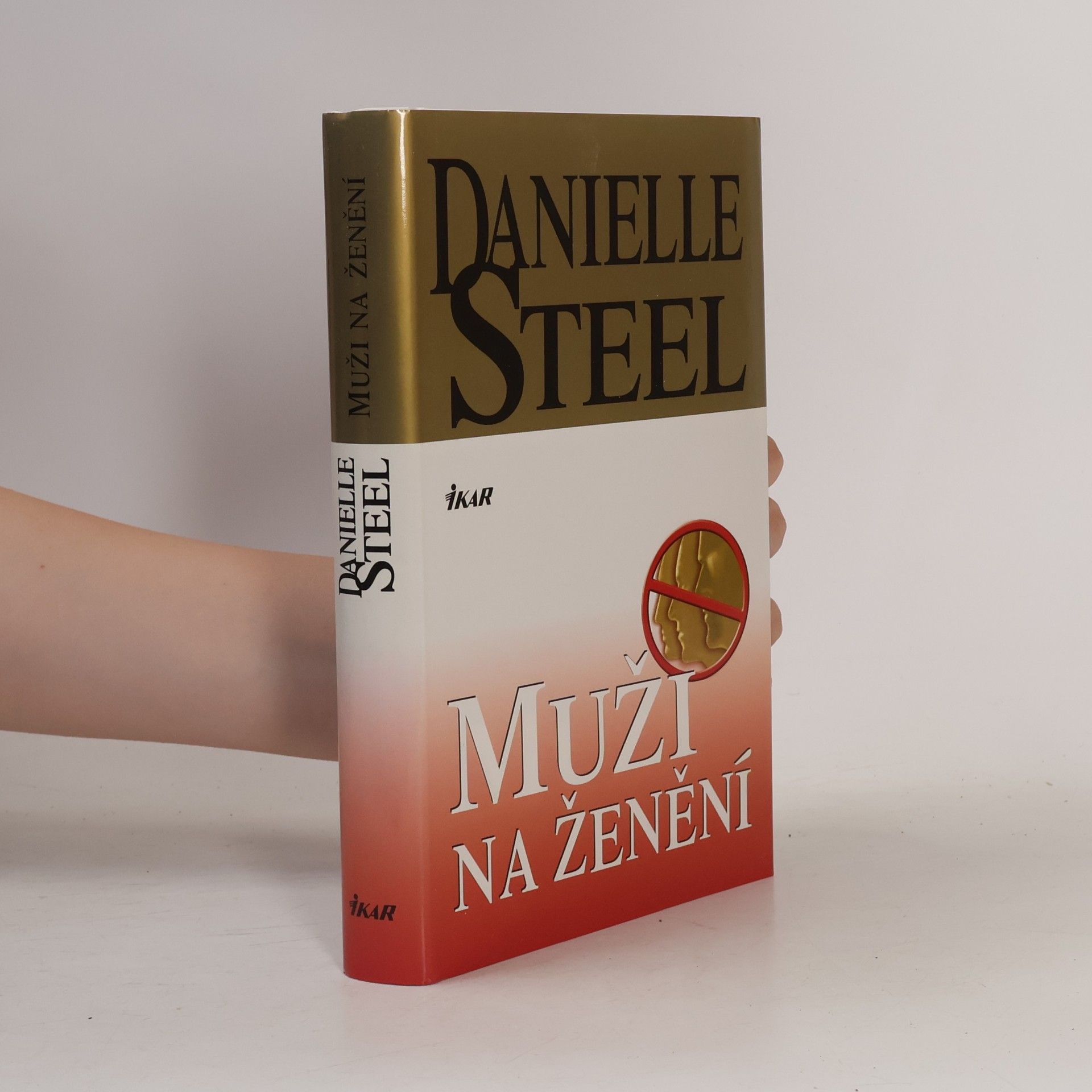 Danielle Steel Muži na ženění