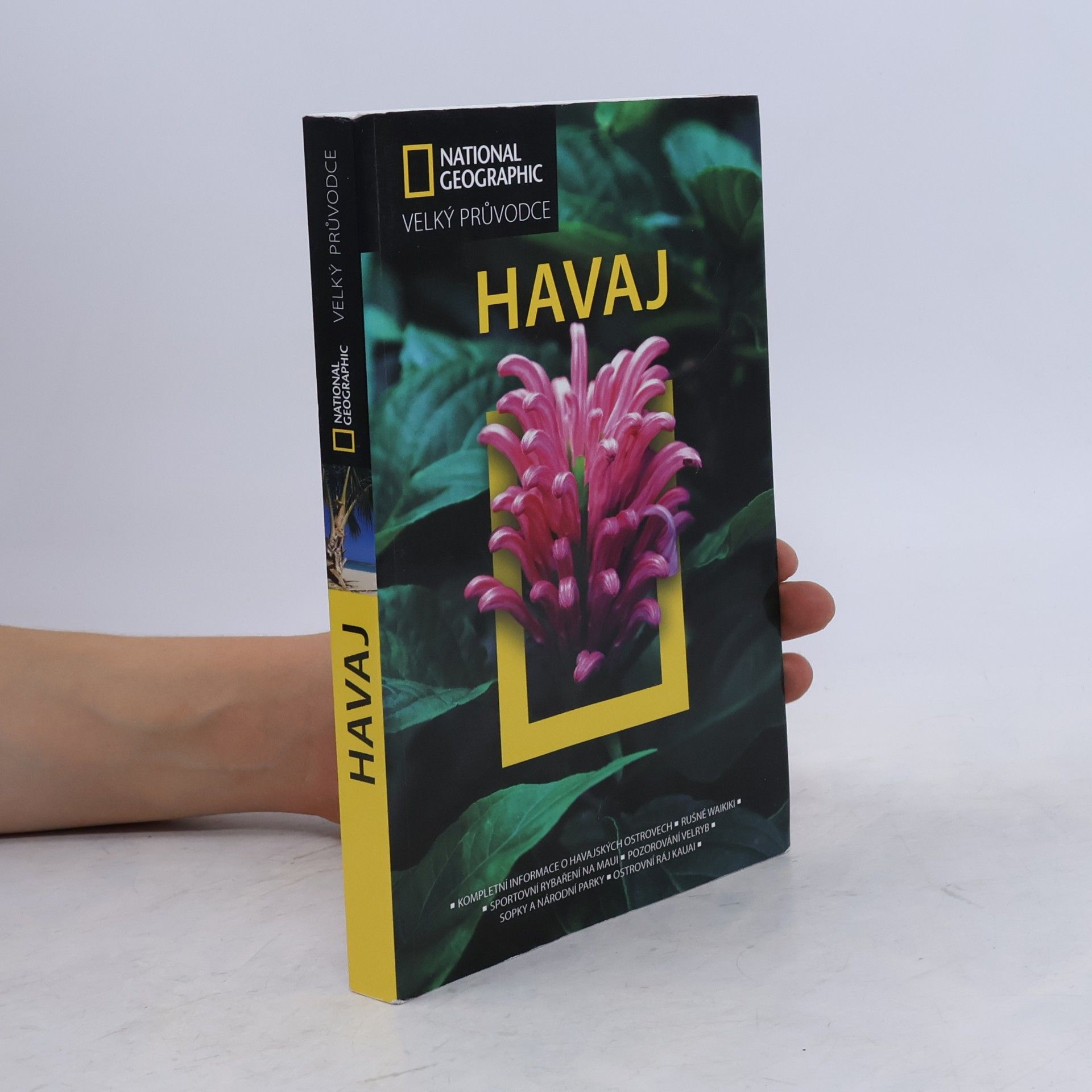 Rita Ariyoshi Havaj