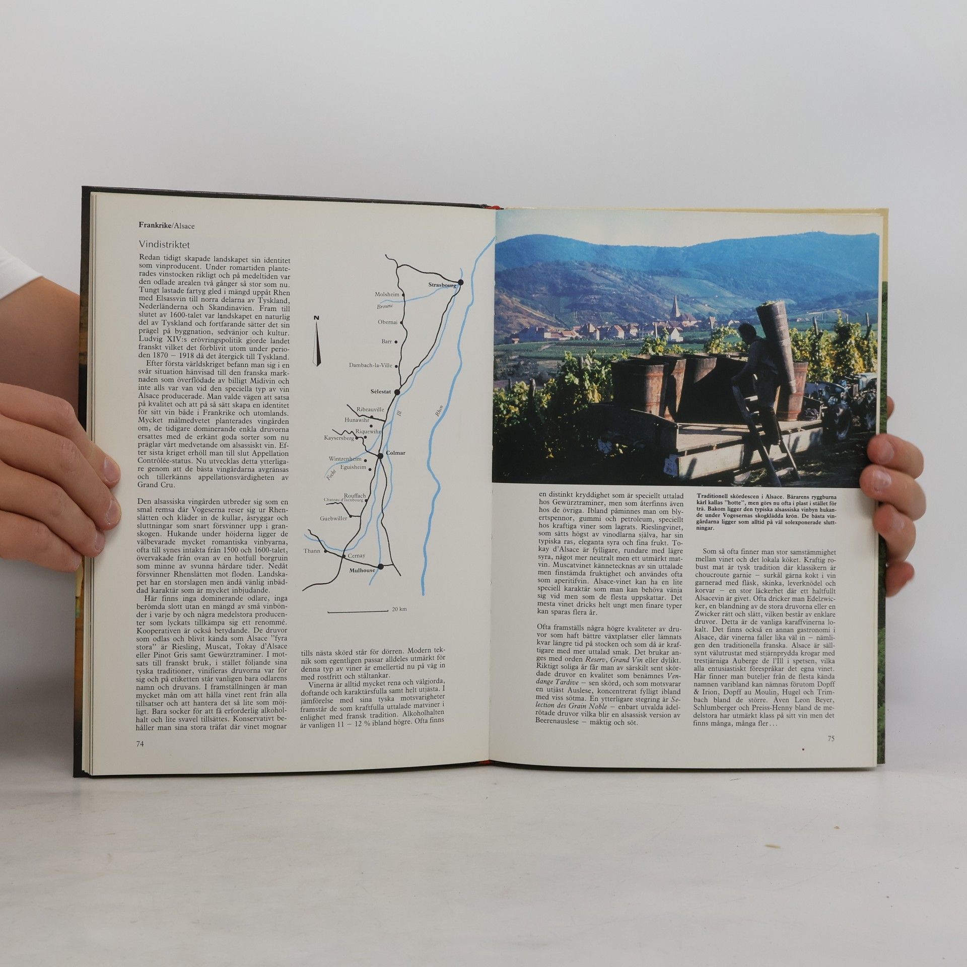 Carl-Jan Granqvist Första vinboken - En personlig vägvisare till viner, vingårdar & vinodlare