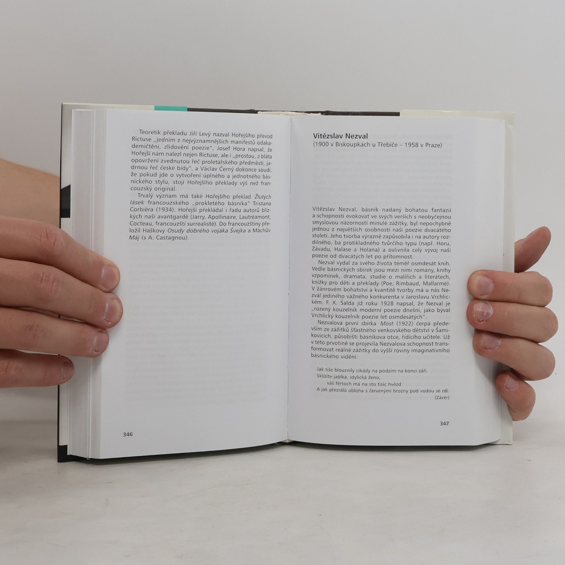 Jiří Rambousek Nesoustavná rukověť české literatury