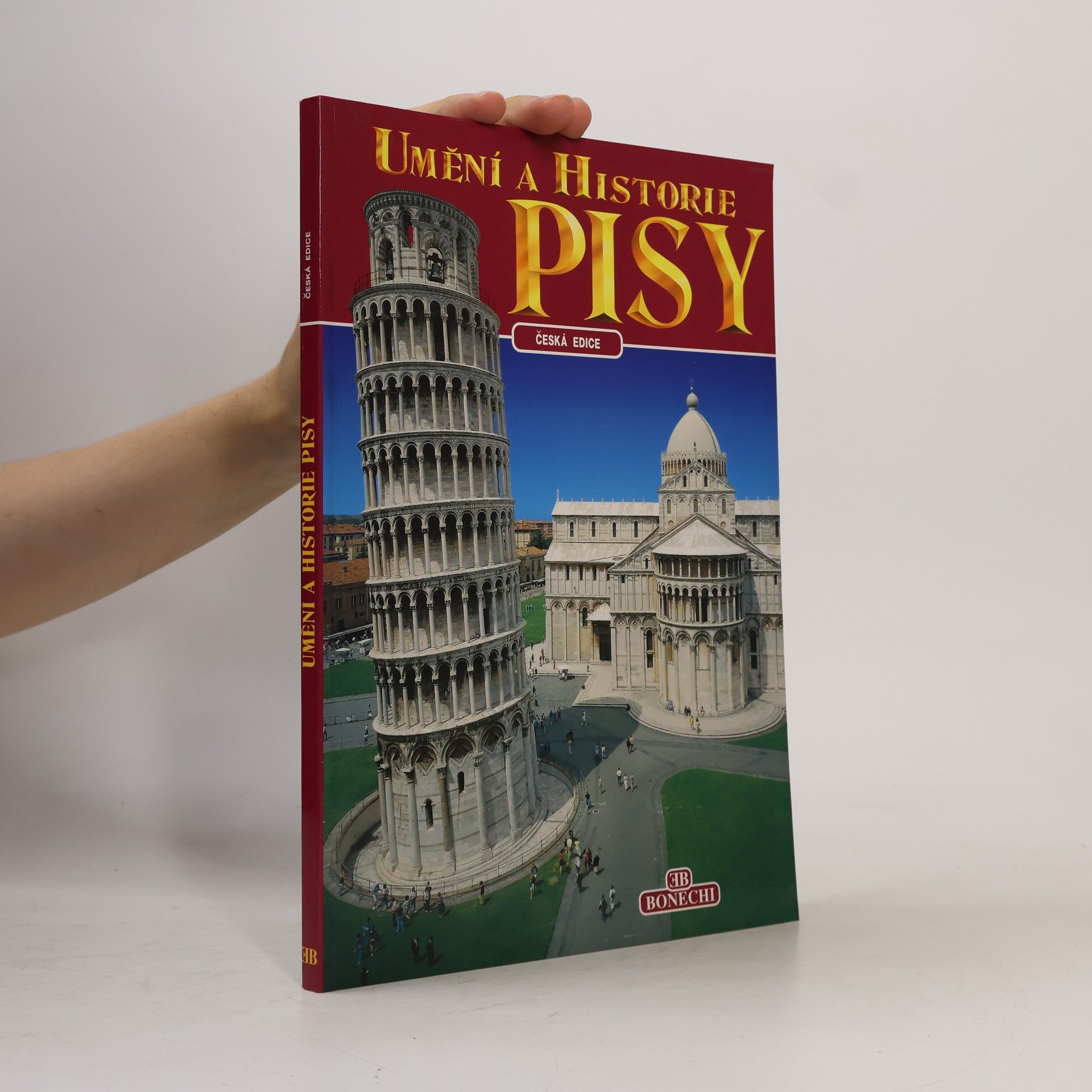 Andrea Pistolesi Umění a historie Pisy