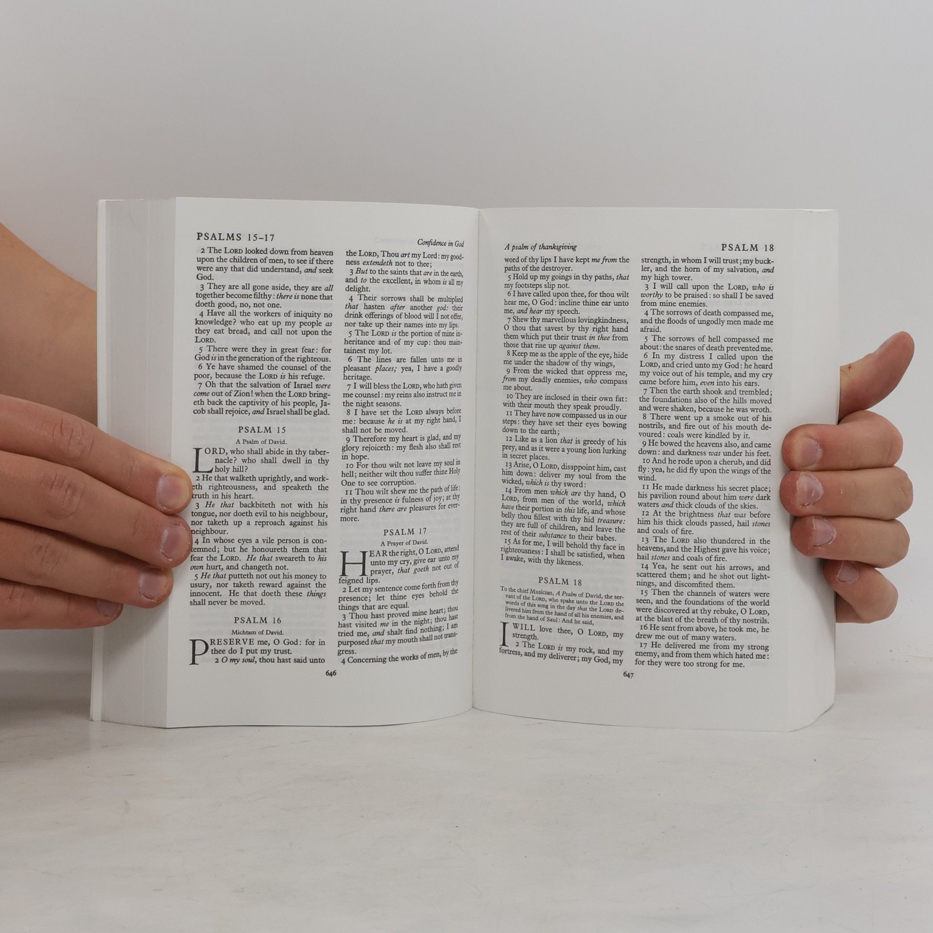 Robert P. Carroll The Bible