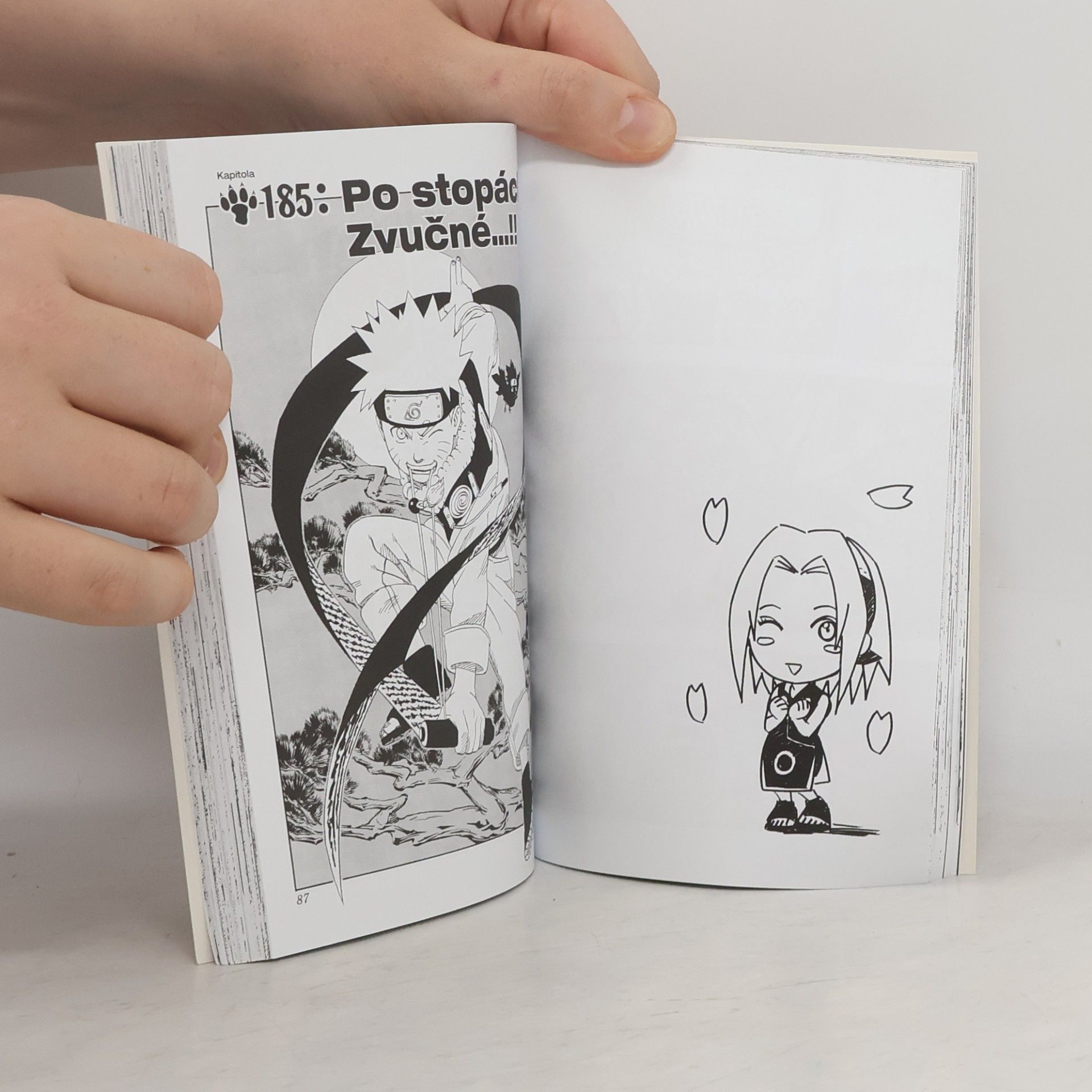 Masashi Kishimoto Naruto. 21. díl, Neodpustitelné