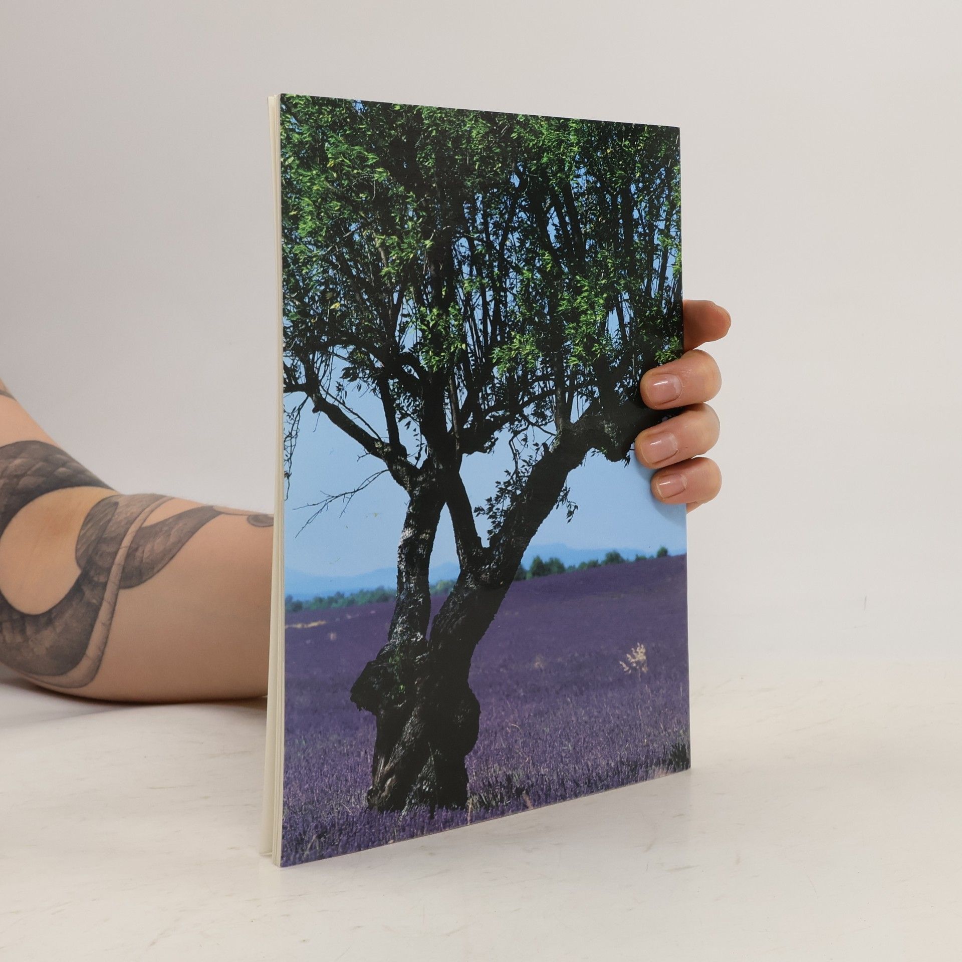 Various authors Provence