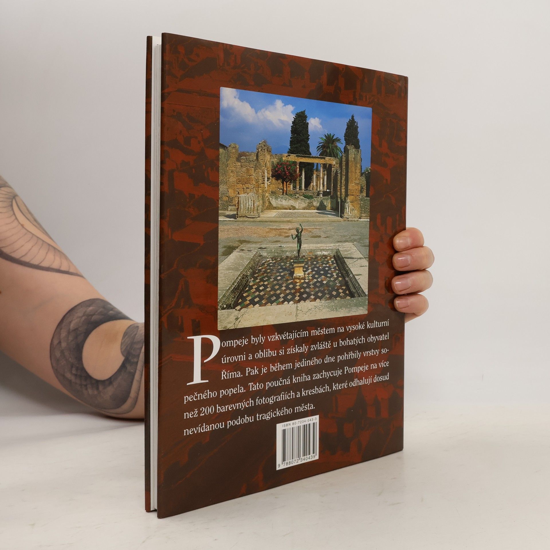 Autores varios Pompeje: Průvodce starověkým městem