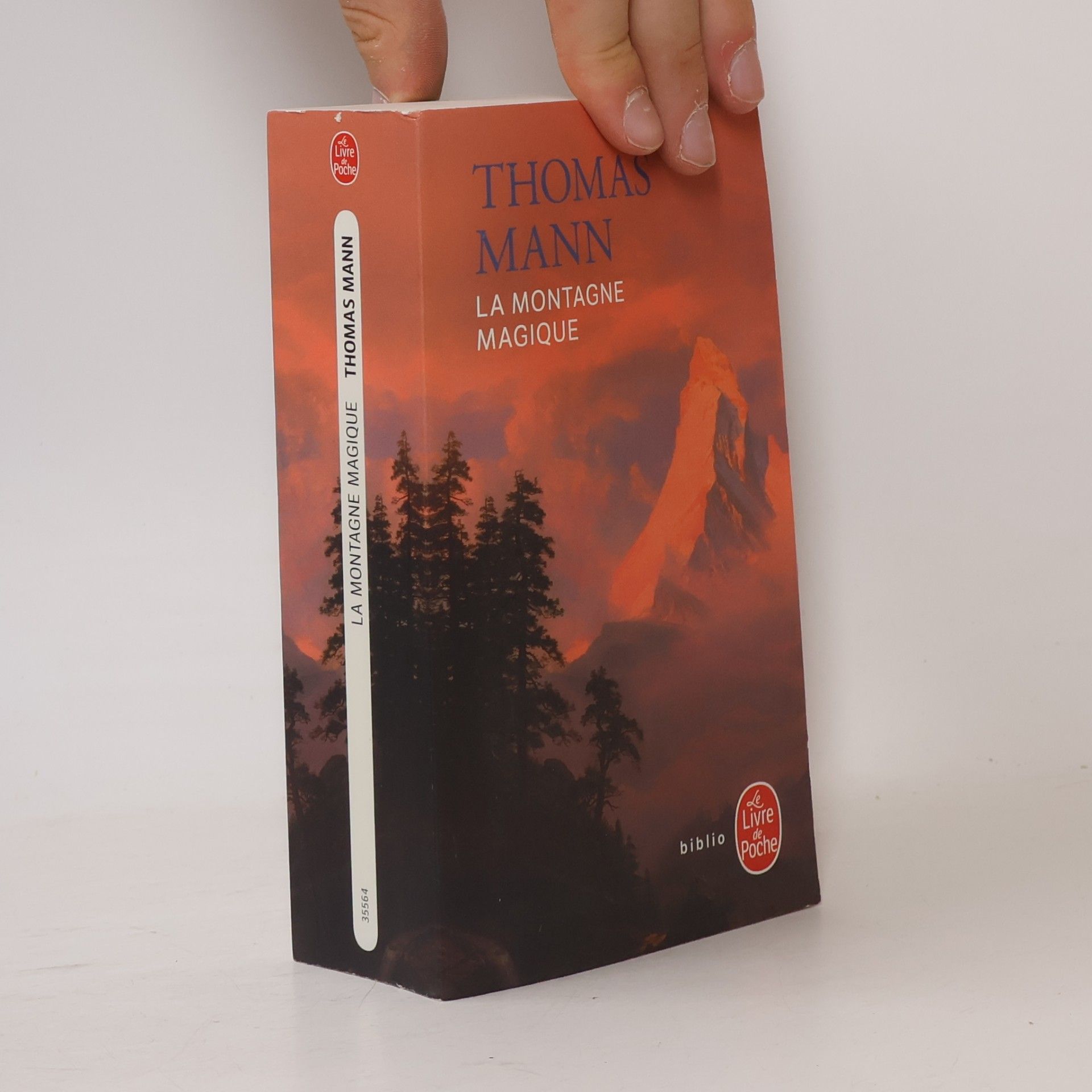 Thomas Mann La Montagne magique
