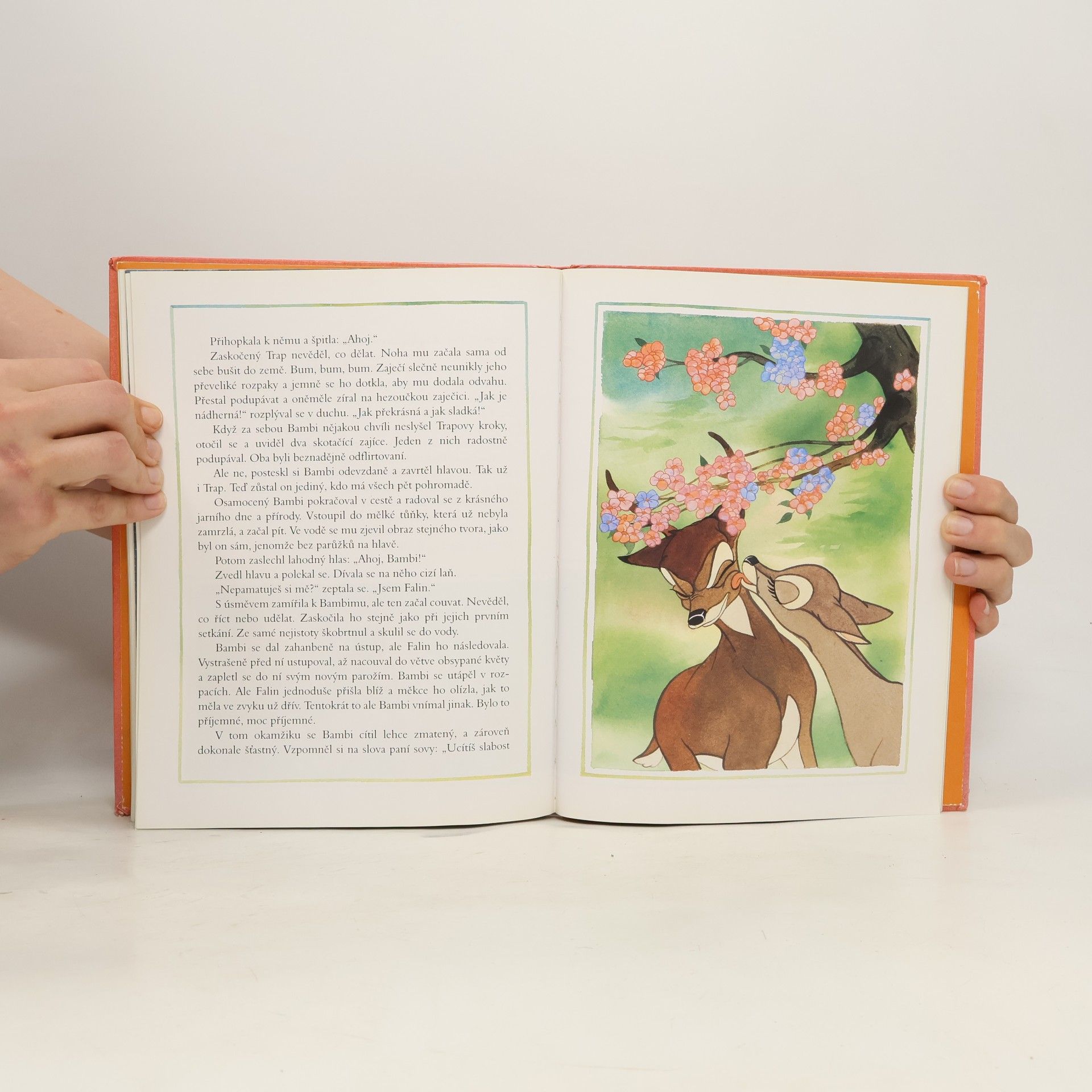 Walt Disney Bambi