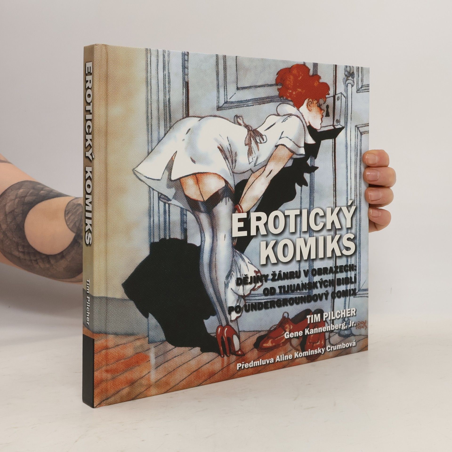 Tim Pilcher Erotický komiks: Dějiny žánru v obrazech