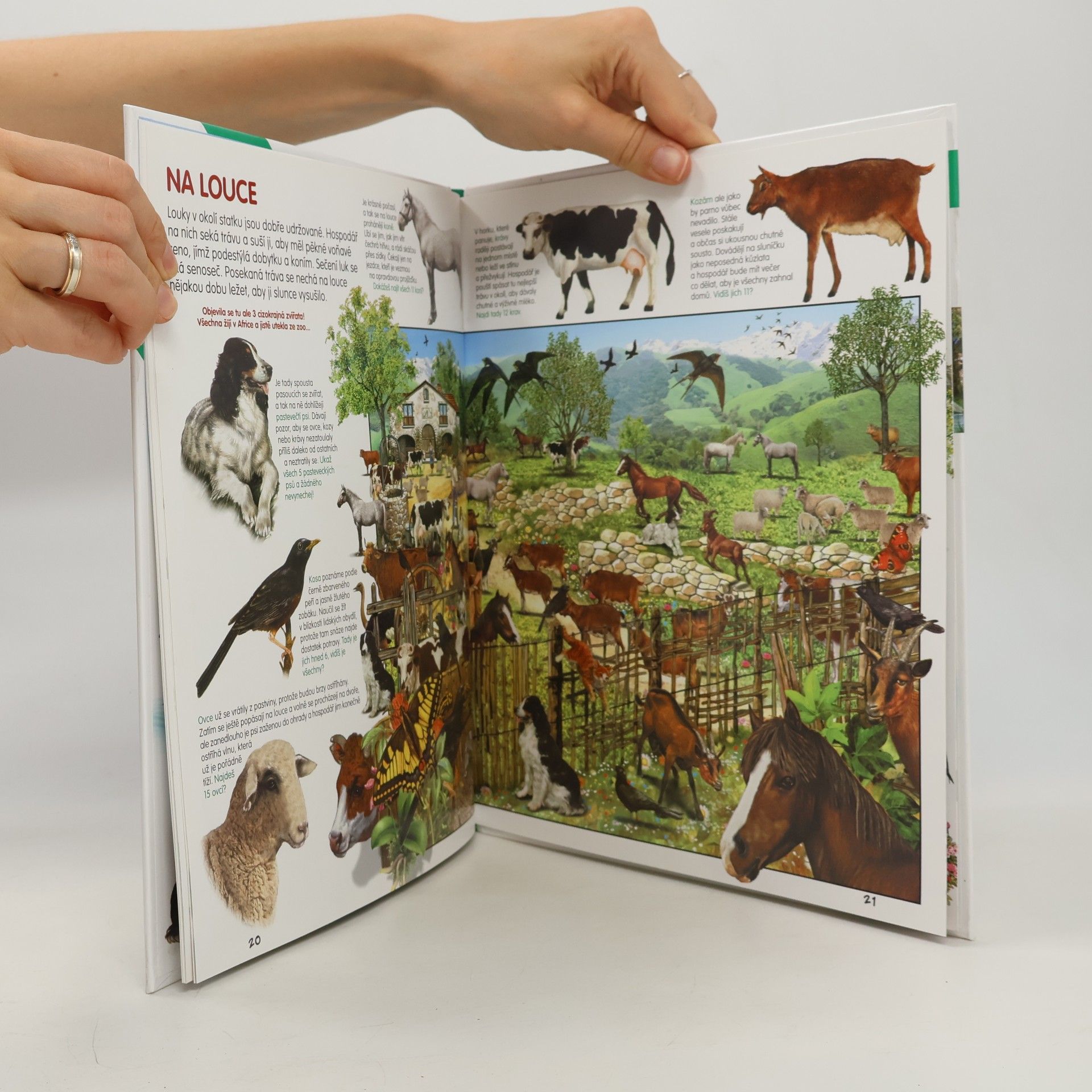 Various authors Zvířata na statku - Hledej a objevuj