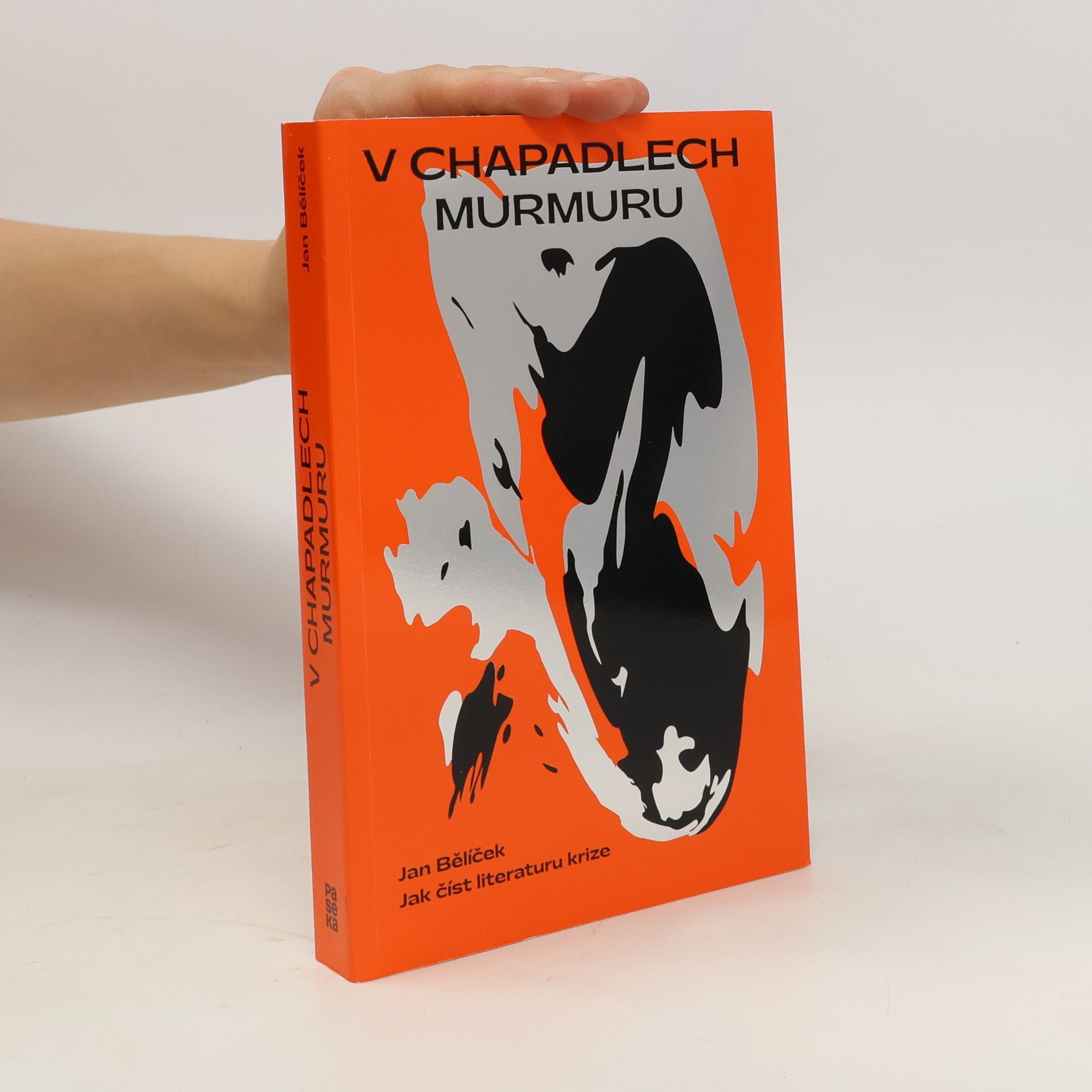 Jan Bělíček V chapadlech murmuru : jak číst literaturu krize