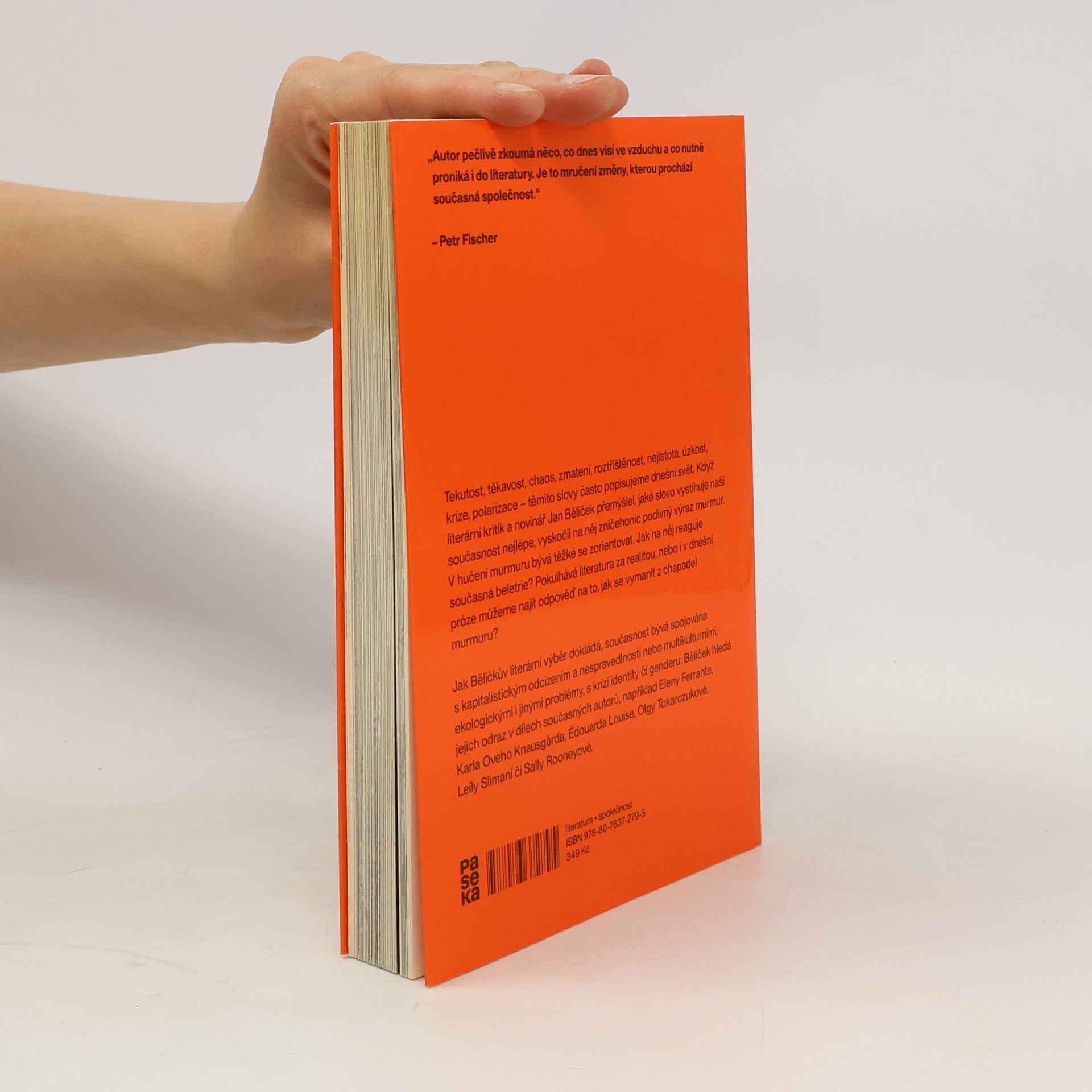 Jan Bělíček V chapadlech murmuru : jak číst literaturu krize