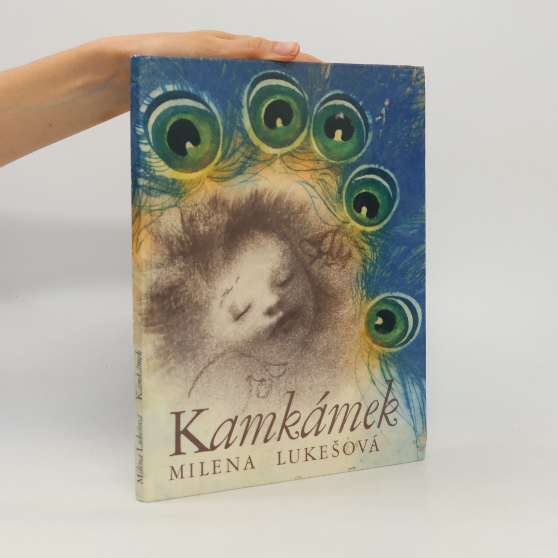 Milena Lukešová Kamkámek