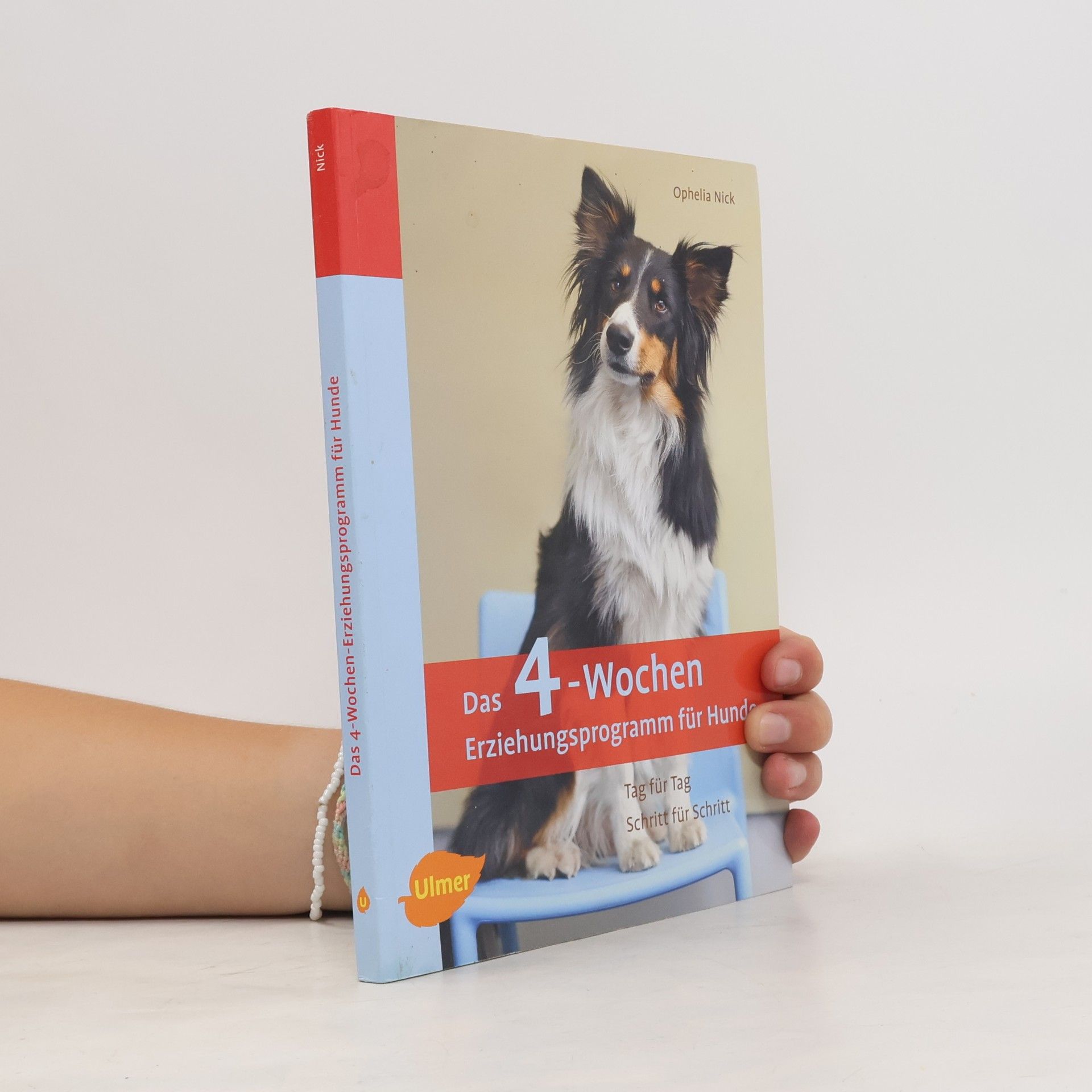 Das 4-Wochen-Erziehungsprogramm für Hunde
