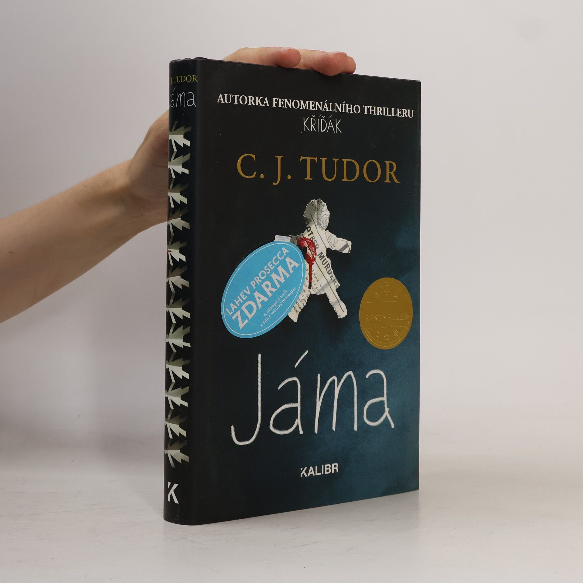 C. J. Tudor Jáma