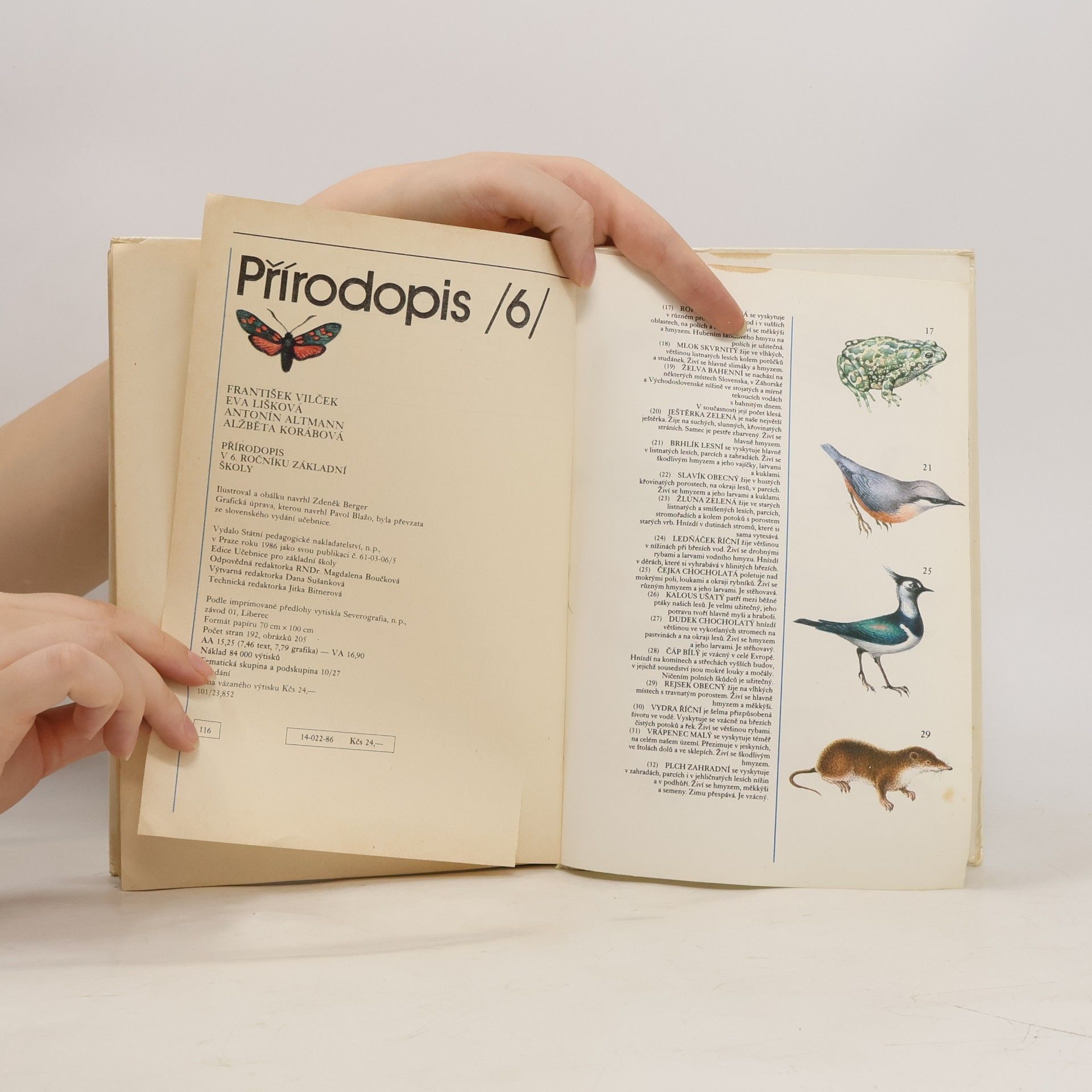 Collectif d'auteurs Přírodopis 6