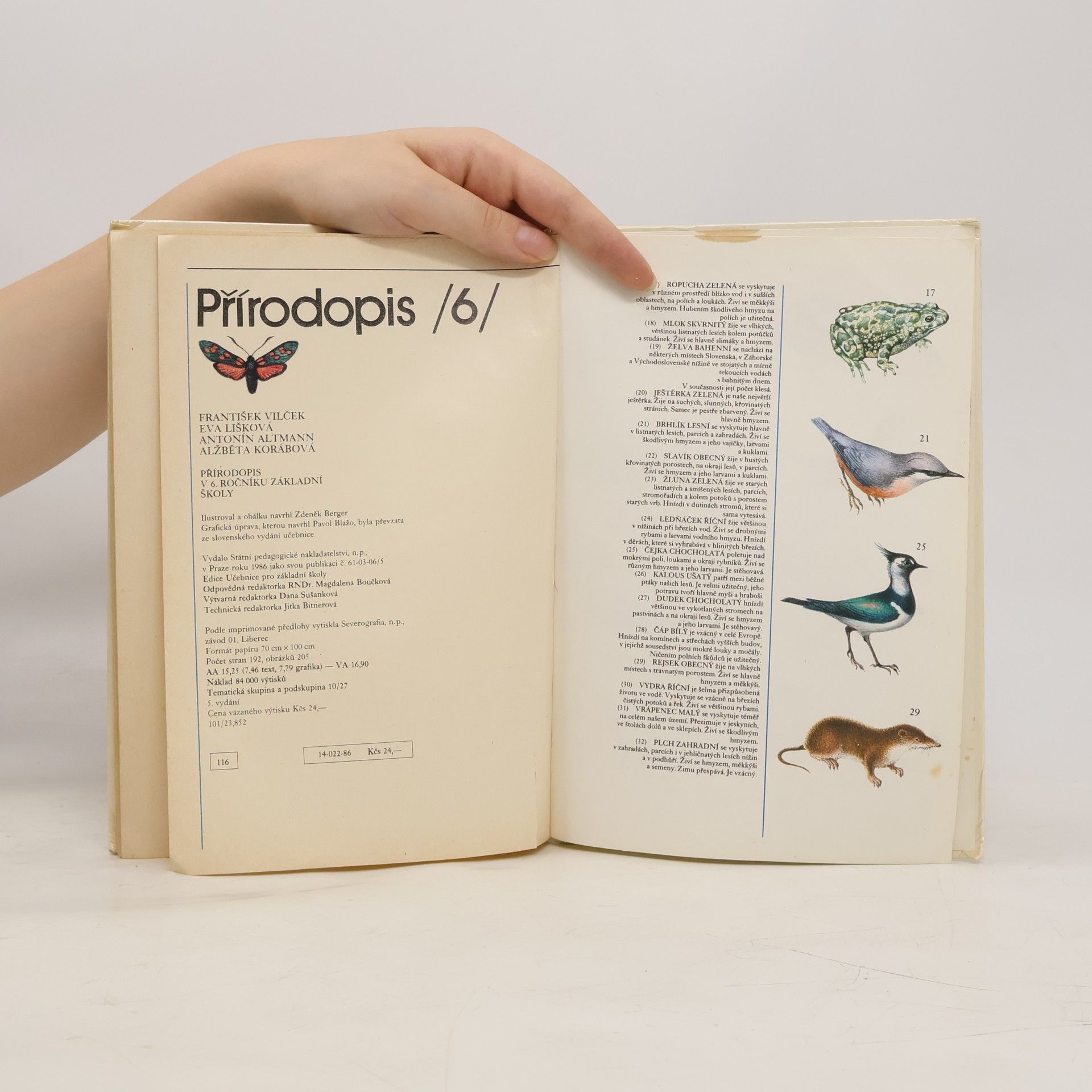 Collectif d'auteurs Přírodopis 6