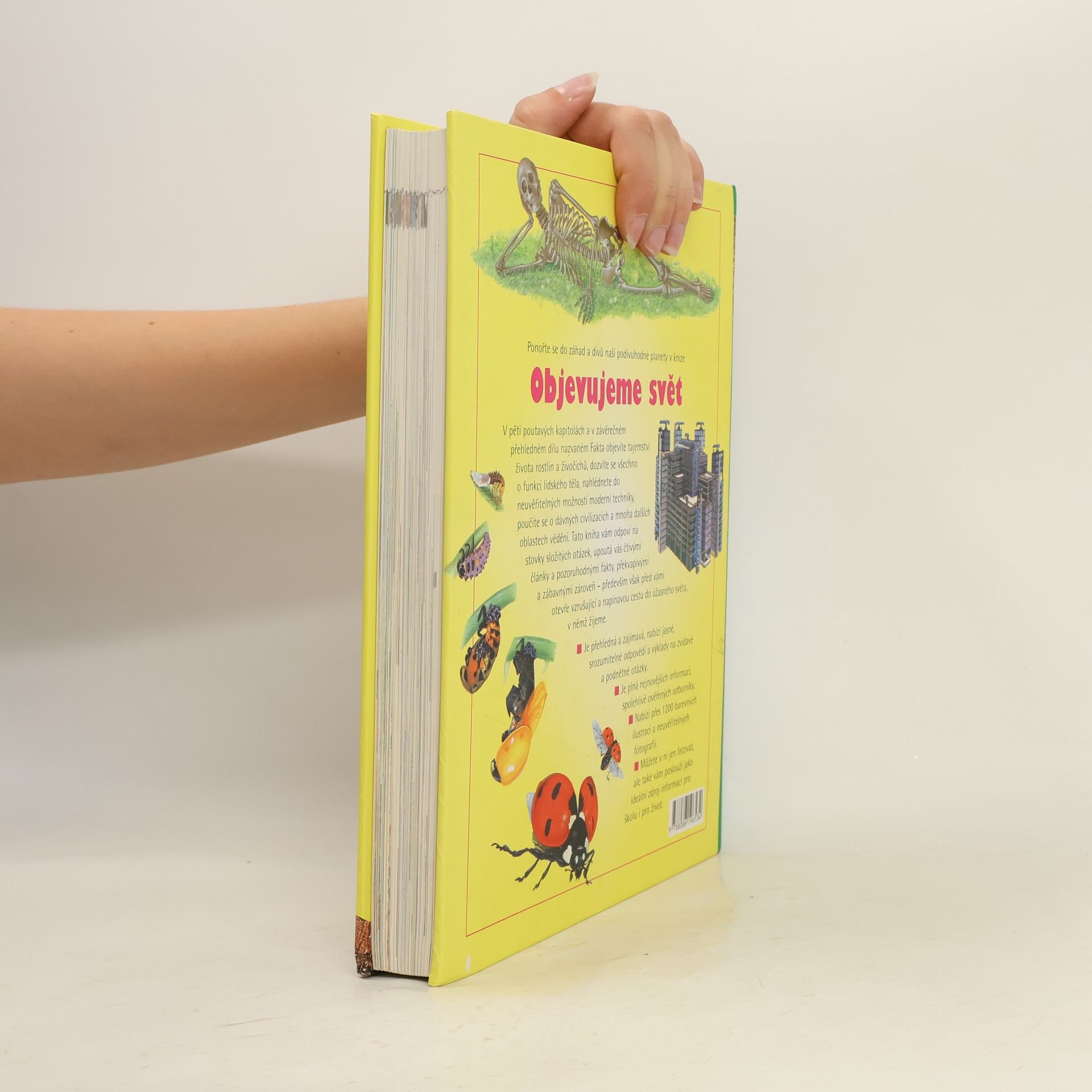 Autorenkollektiv Objevujeme svět. Příroda, lidé, civilizace