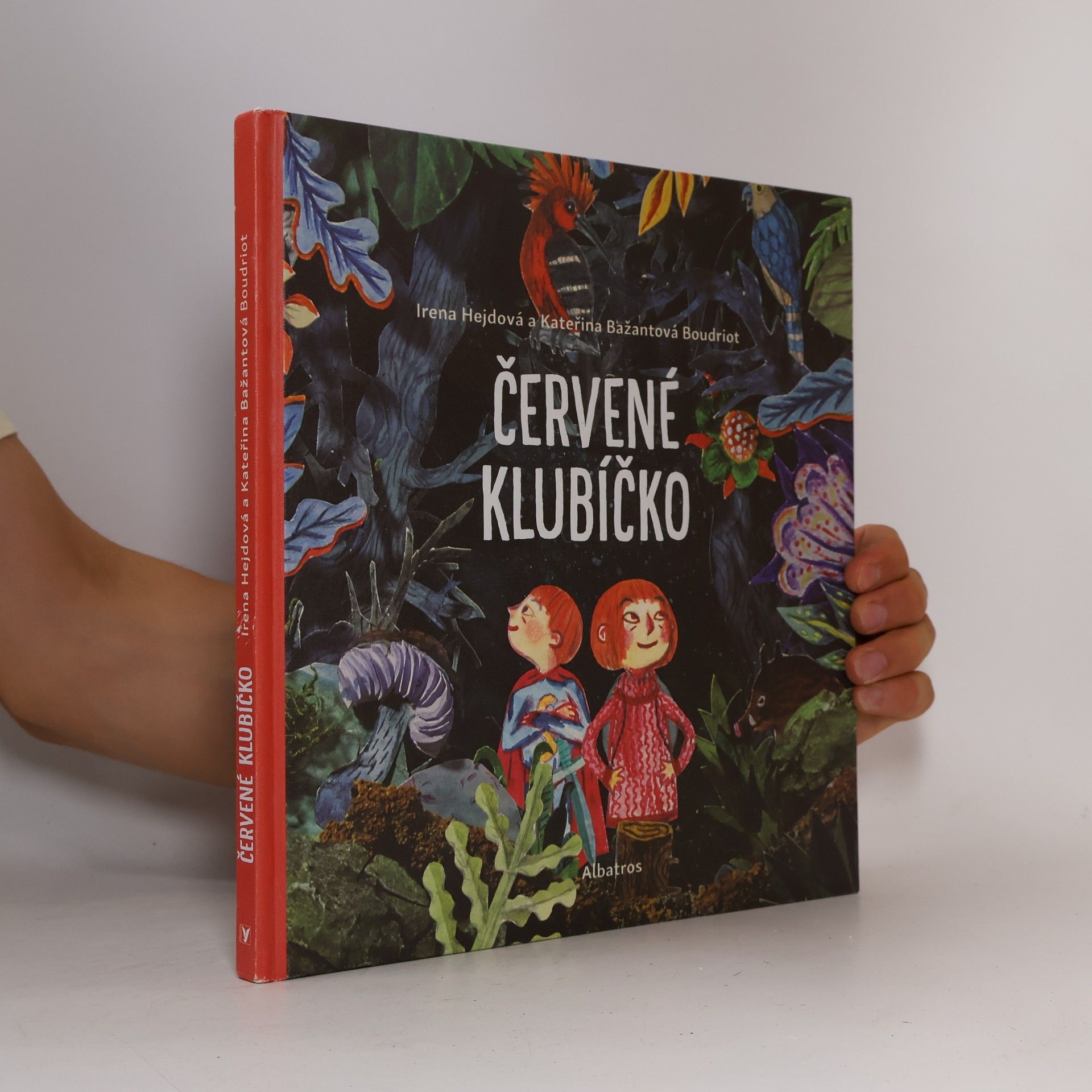 Irena Hejdová Červené klubíčko