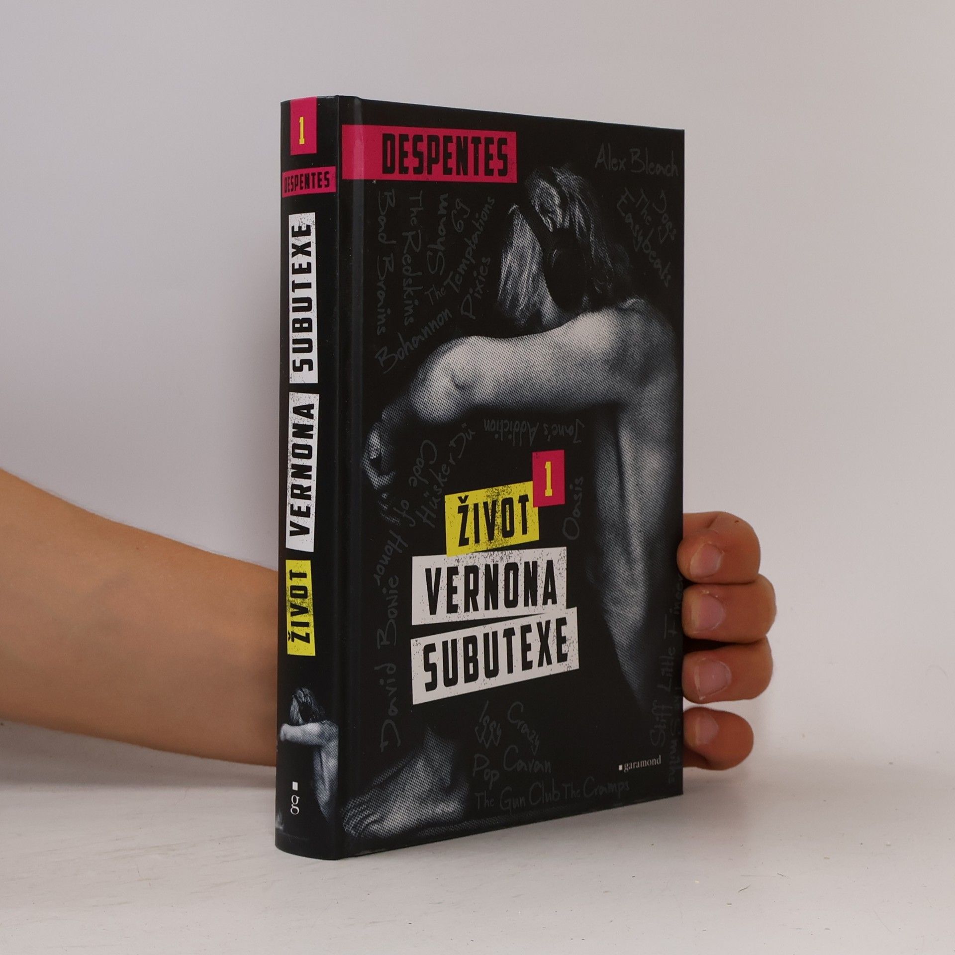 Virginie Despentes Život Vernona Subutexe. Díl 1.