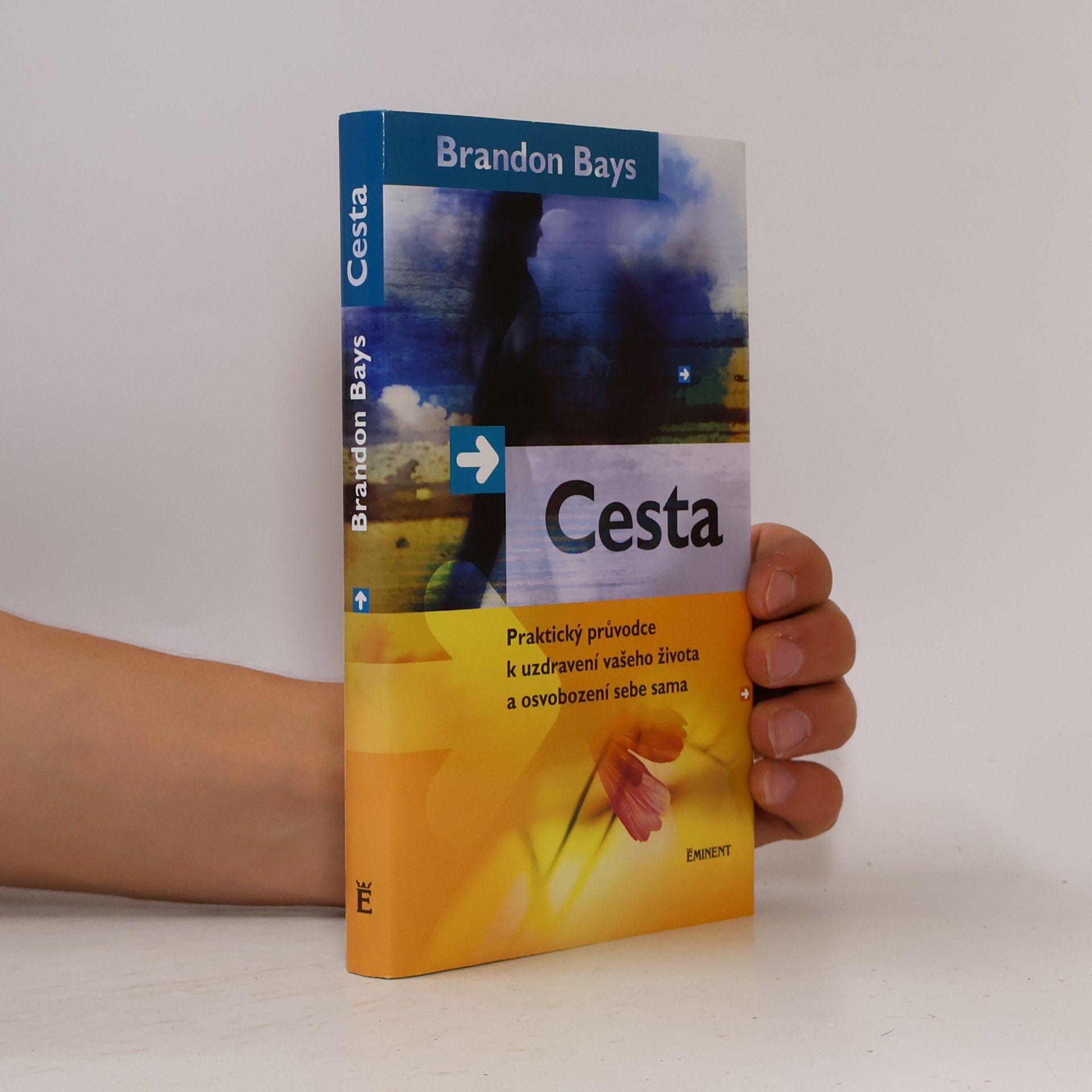 Brandon Bays Cesta