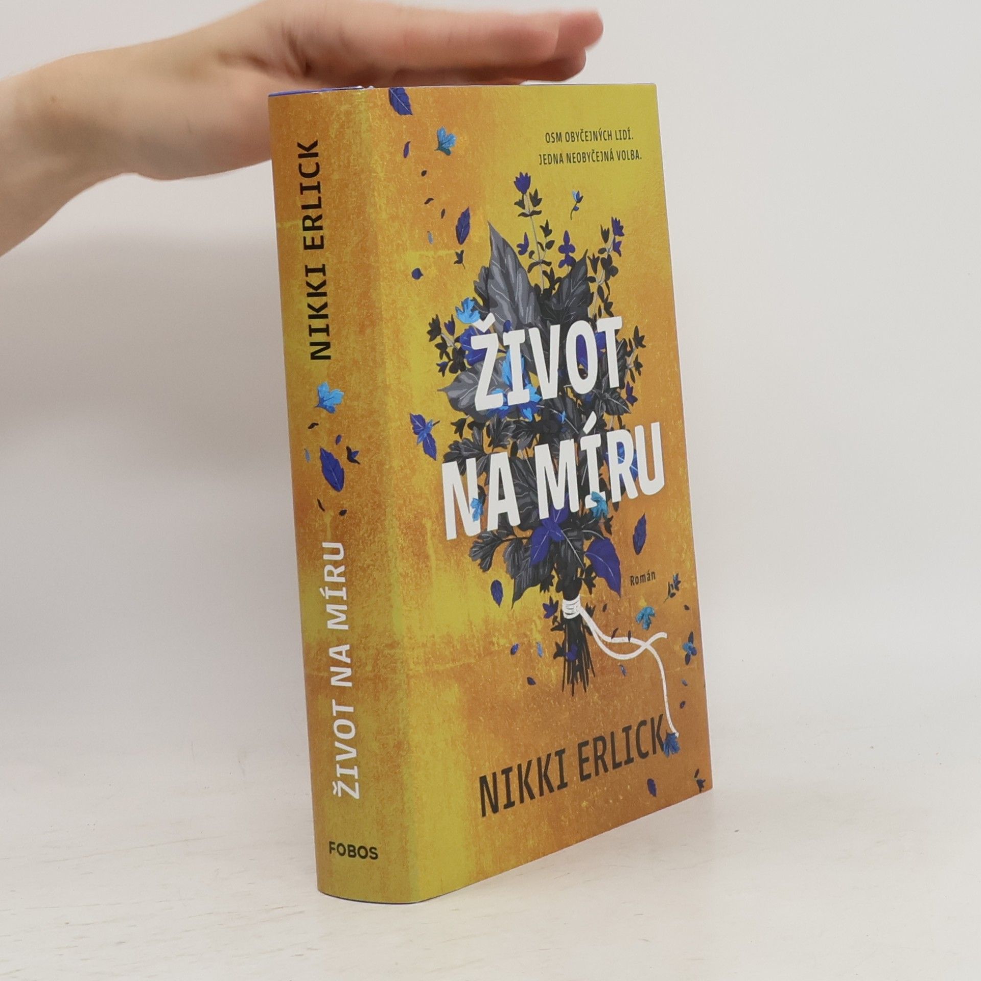 Nikki Erlick Život na míru