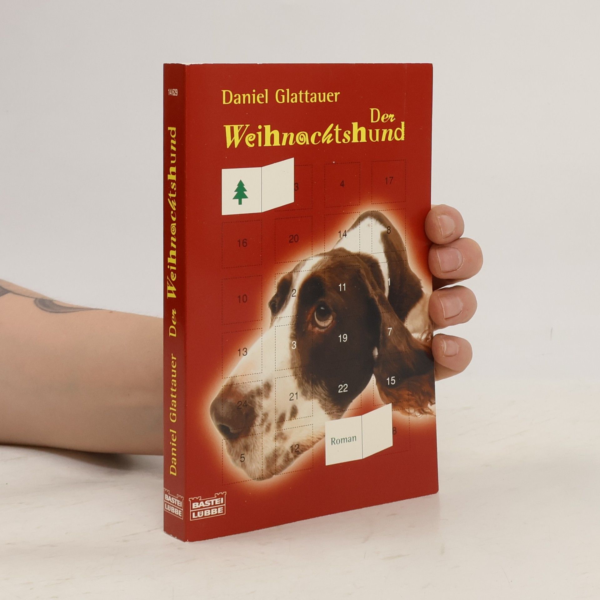 Daniel Glattauer Der Weihnachtshund