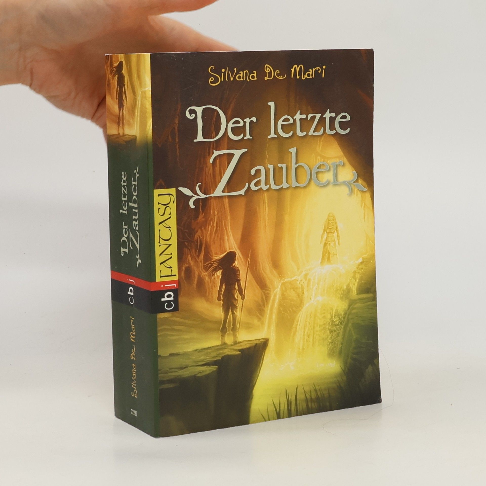 Silvana De Mari Der letzte Zauber