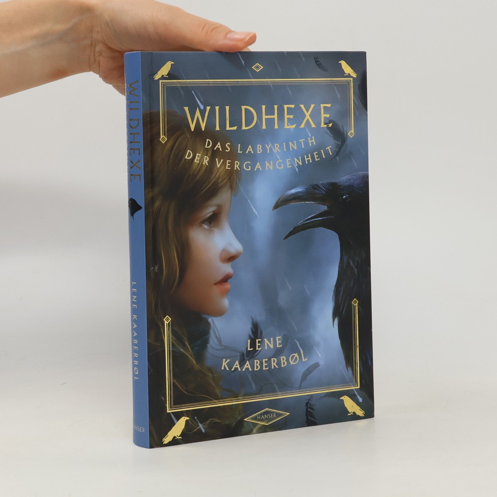 Lene Kaaberbøl Wildhexe. Das Labyrinth der Vergangenheit
