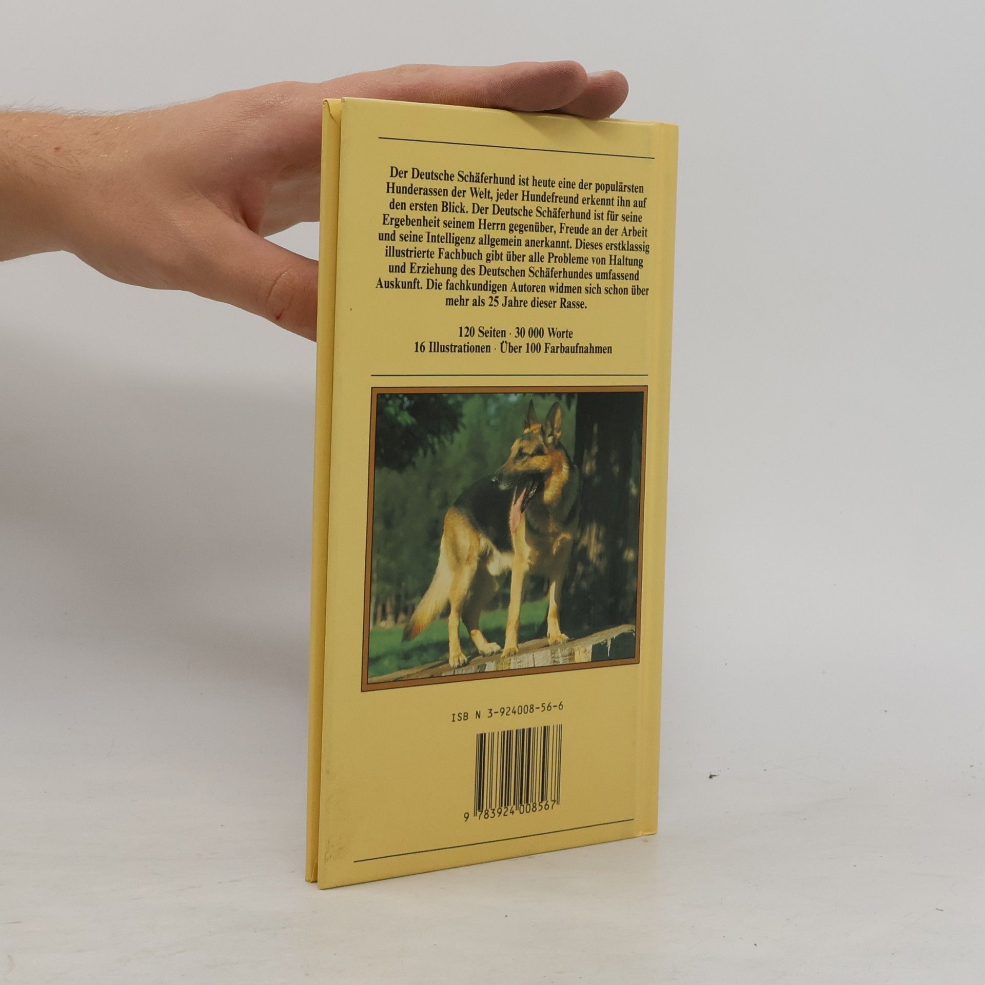 Roy Allan Deutscher Schäferhund