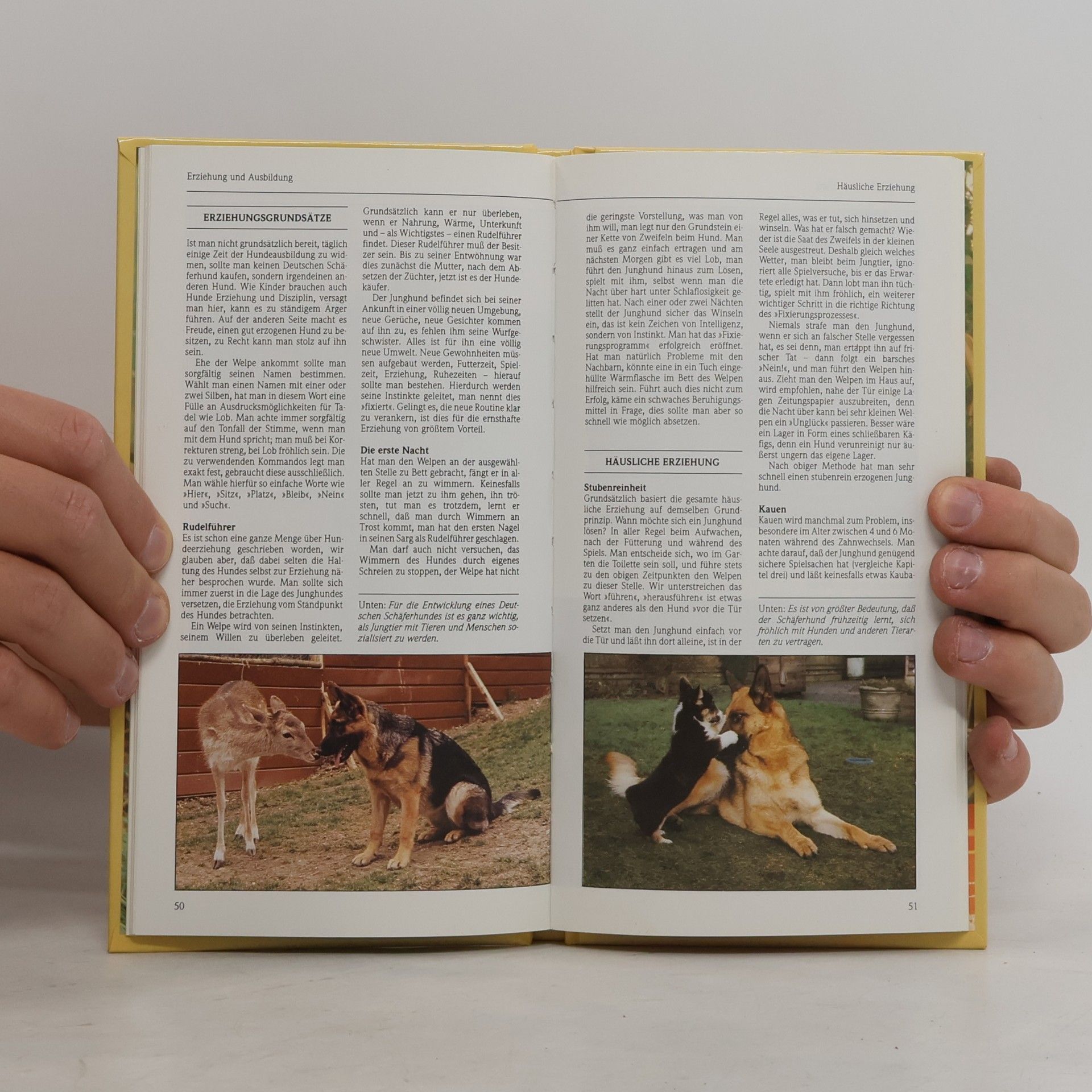 Roy Allan Deutscher Schäferhund