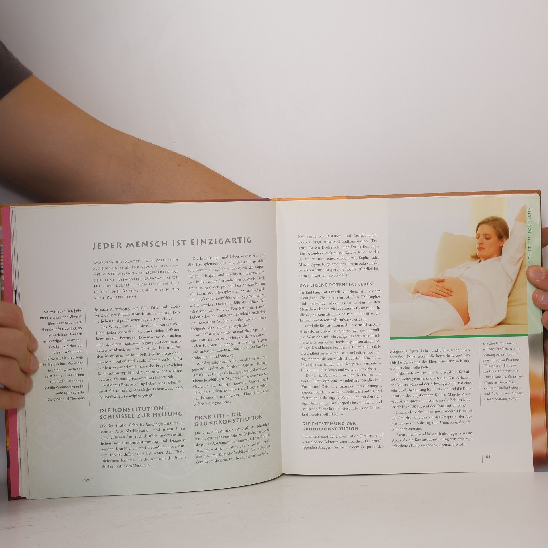 Kerstin Rosenberg Das grosse Ayurveda-Buch