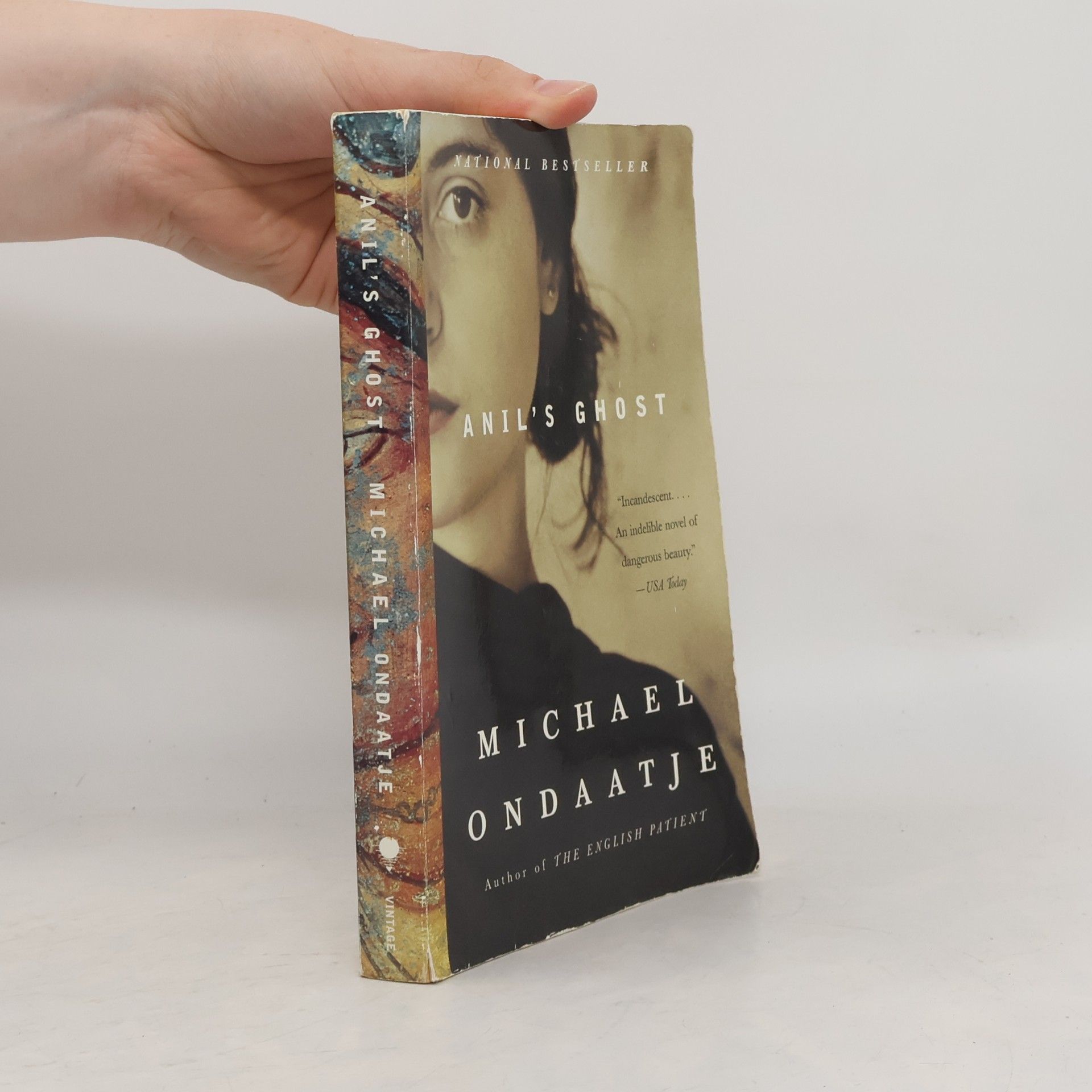 Michael Ondaatje Anil's Ghost