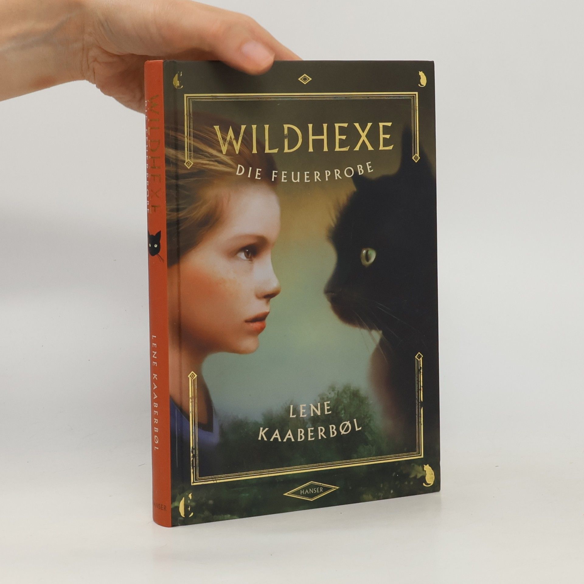 Lene Kaaberbol Wildhexe die Feuerprobe