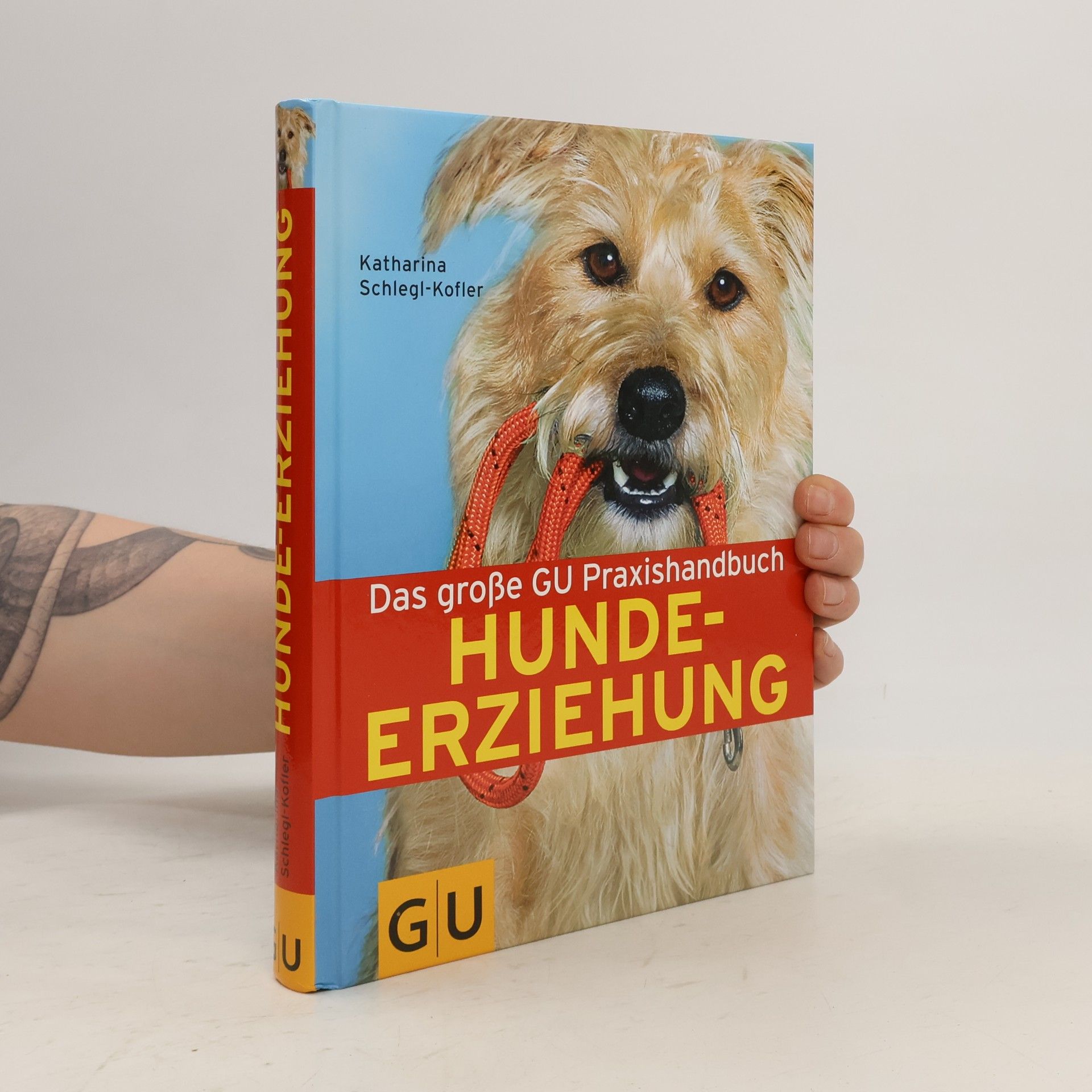Hundeerziehung