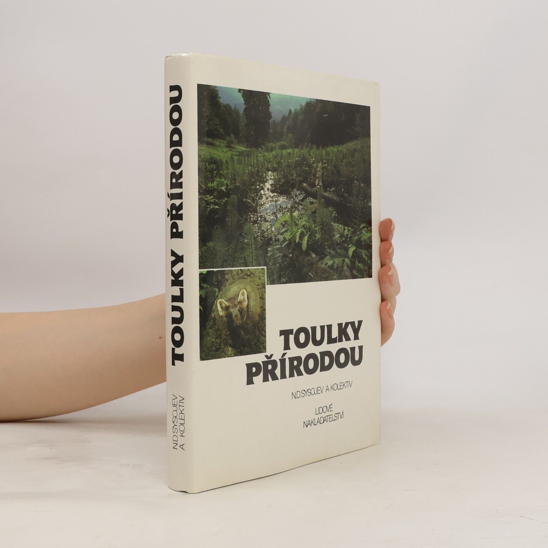 N. D. Sysojev Toulky přírodou