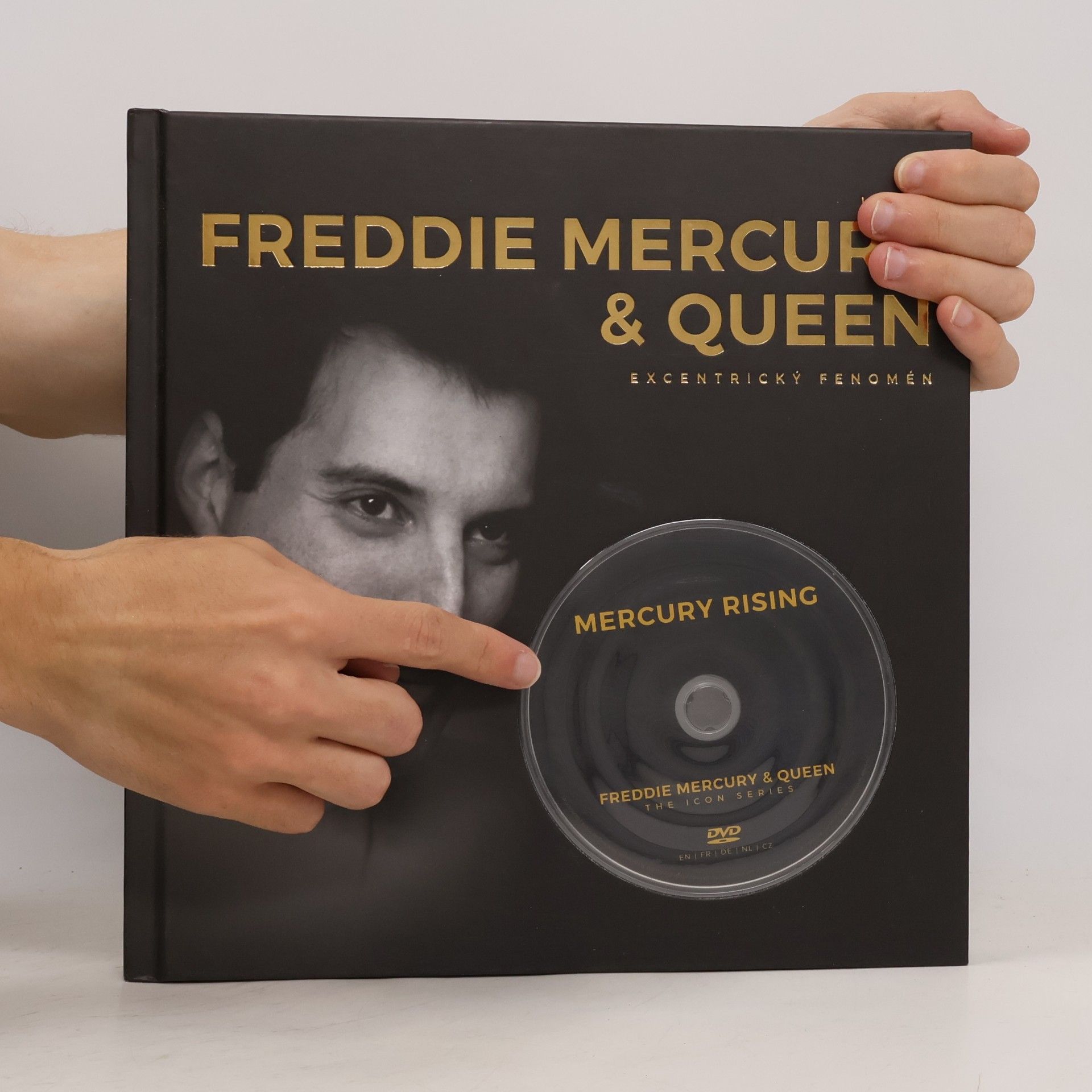 Lucinda Jordaan Freddie Mercury & Queen : excentrický fenomén