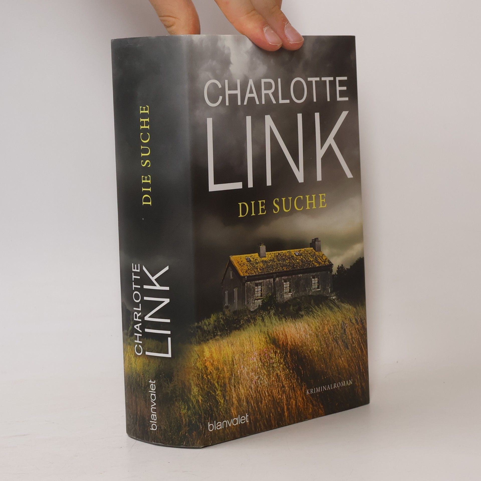Charlotte Link Die Suche