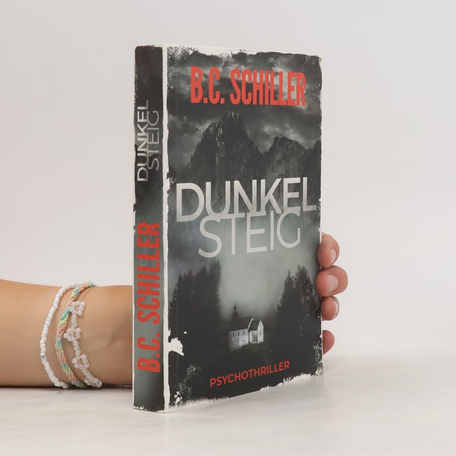 B. C. Schiller Dunkelstieg