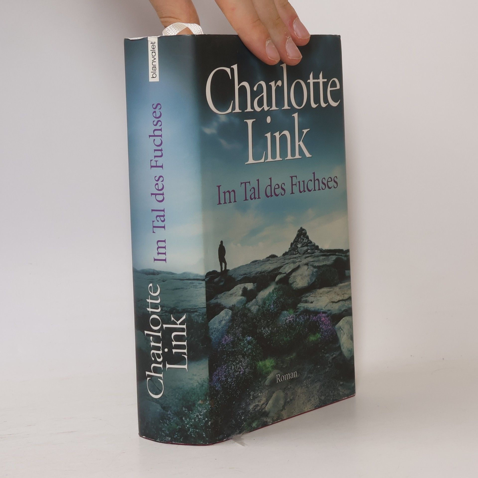 Charlotte Link Im Tal des Fuchses