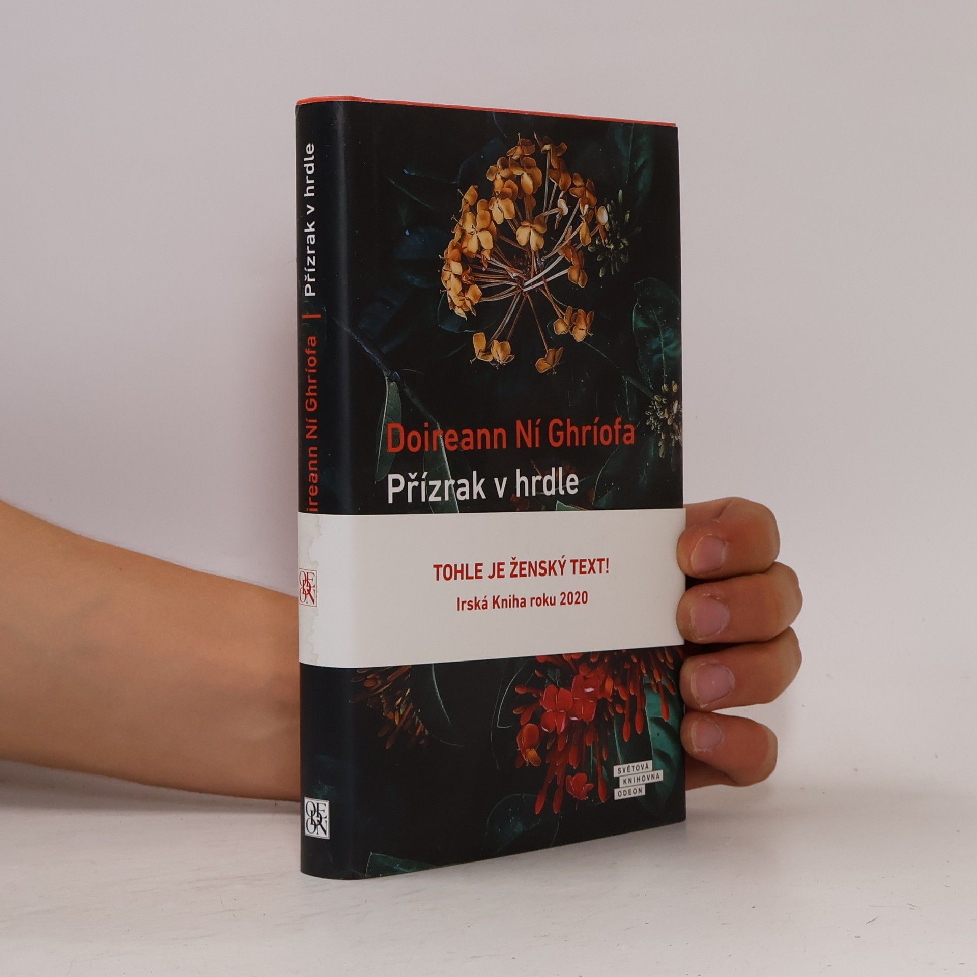 Doireann Ní Ghríofa Přízrak v hrdle