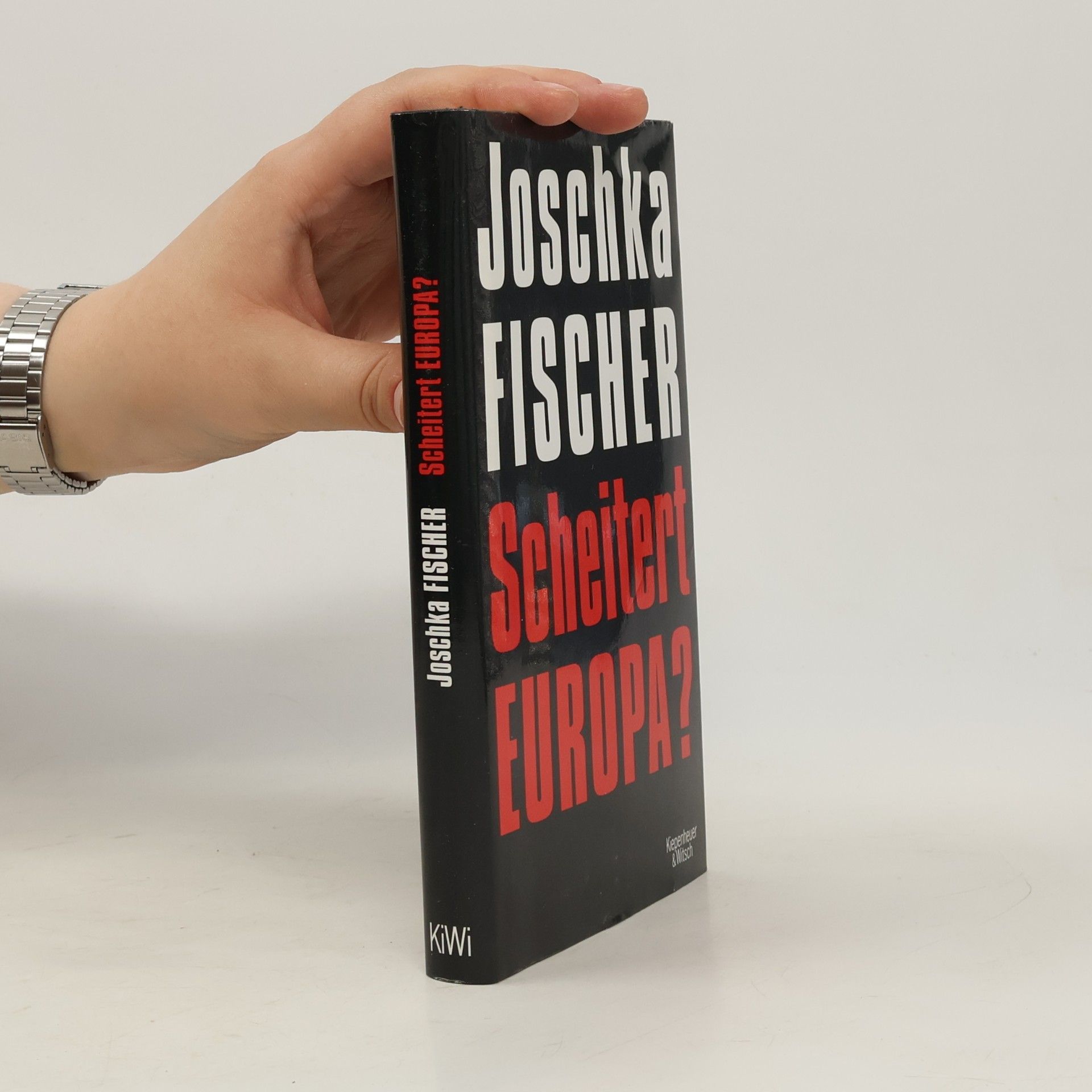 Joschka Fischer Scheitert Europa?