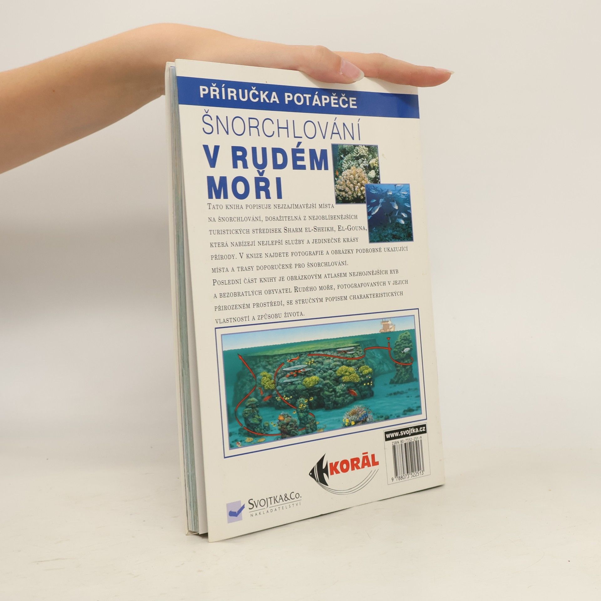 Claudio Cangini Šnorchlování v Rudém moři